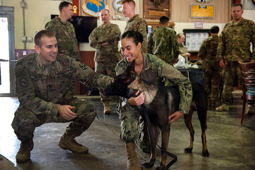 Service members and a military working dog meet before conducting training.