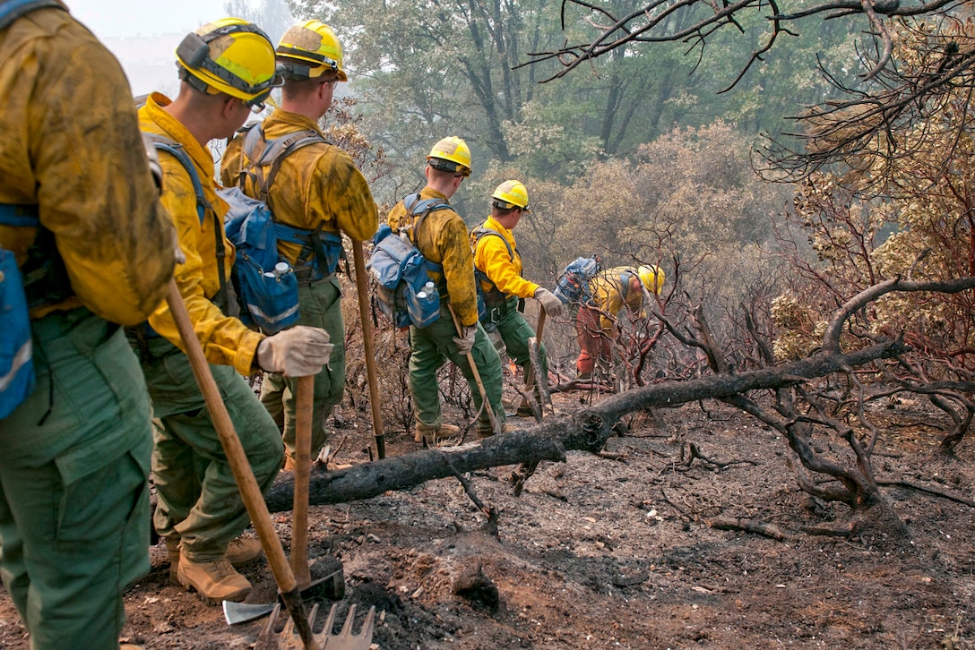 Soldiers line up in the woods for a controlled burn.