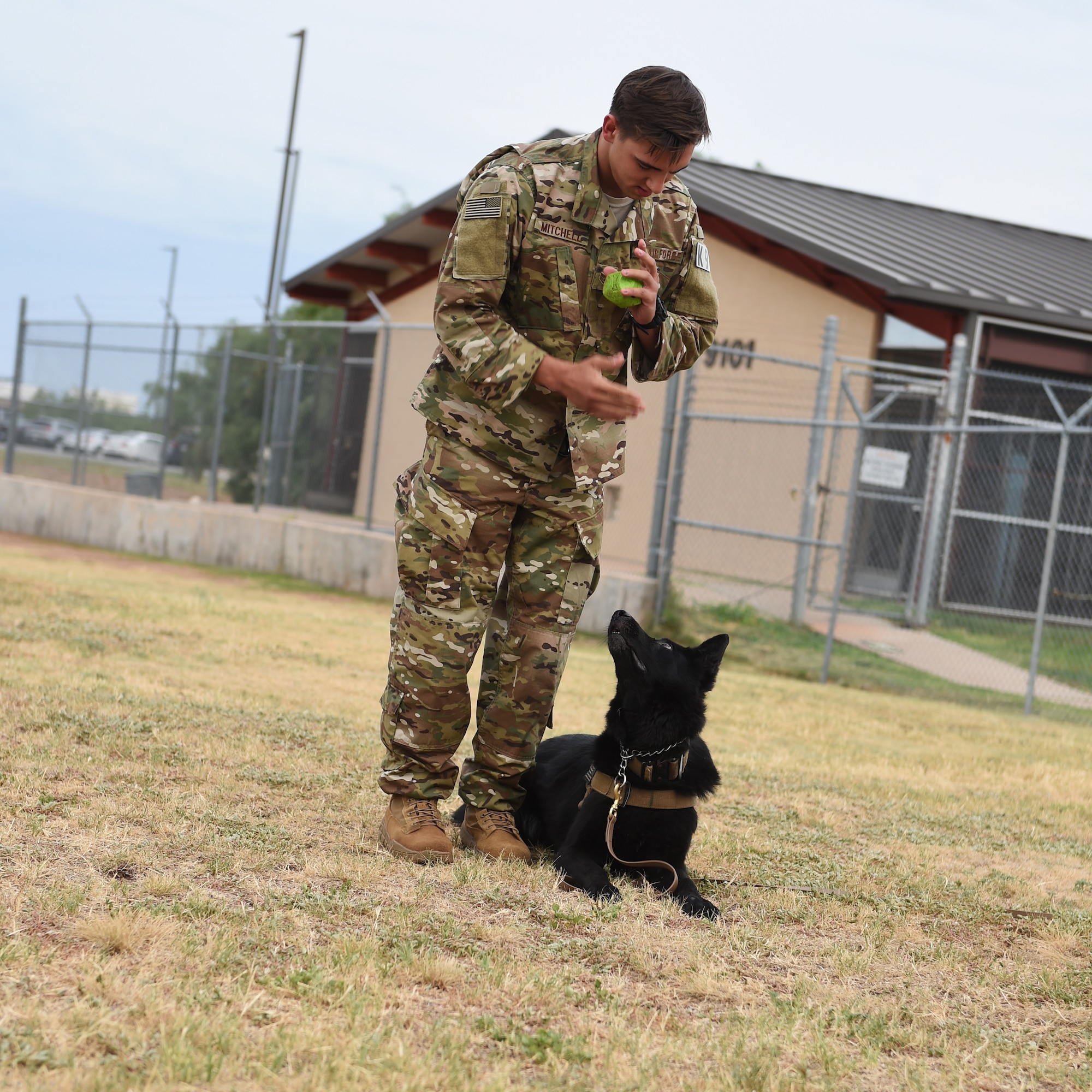 Defensor Fortis: Work bites