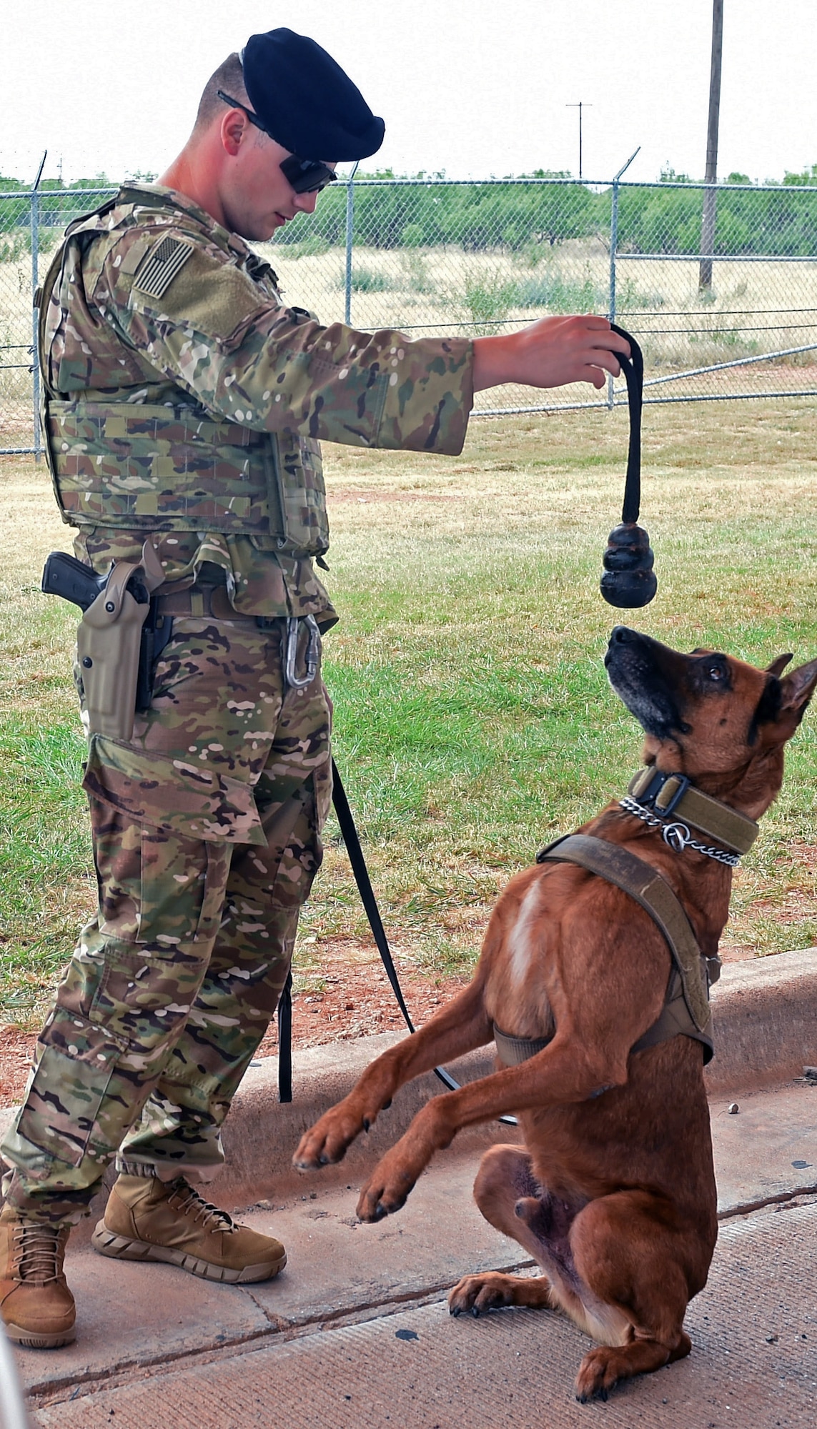 Defensor Fortis: Work bites