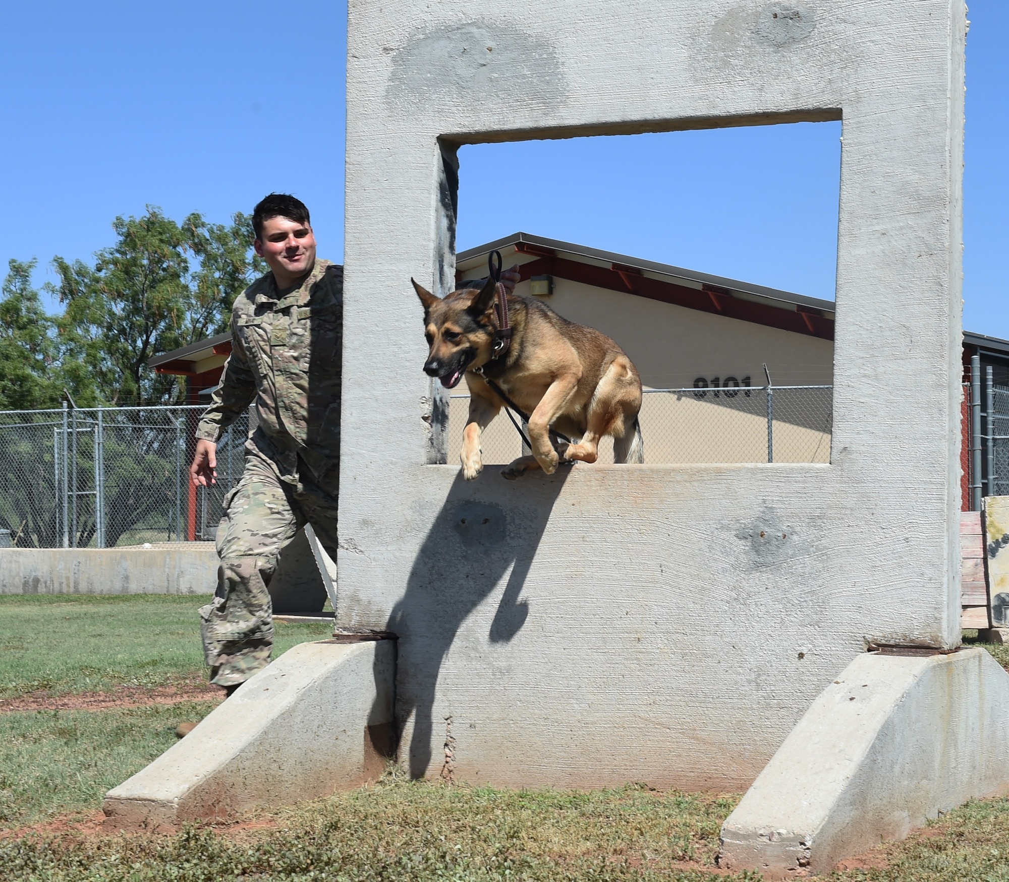 Defensor Fortis: Work bites