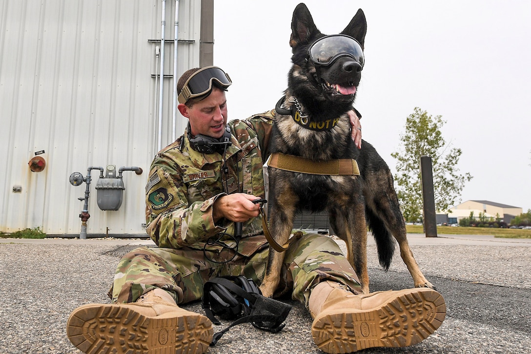An airman with goggles on his forehead sits on the ground and adjust equipment on a dog wearing goggles.