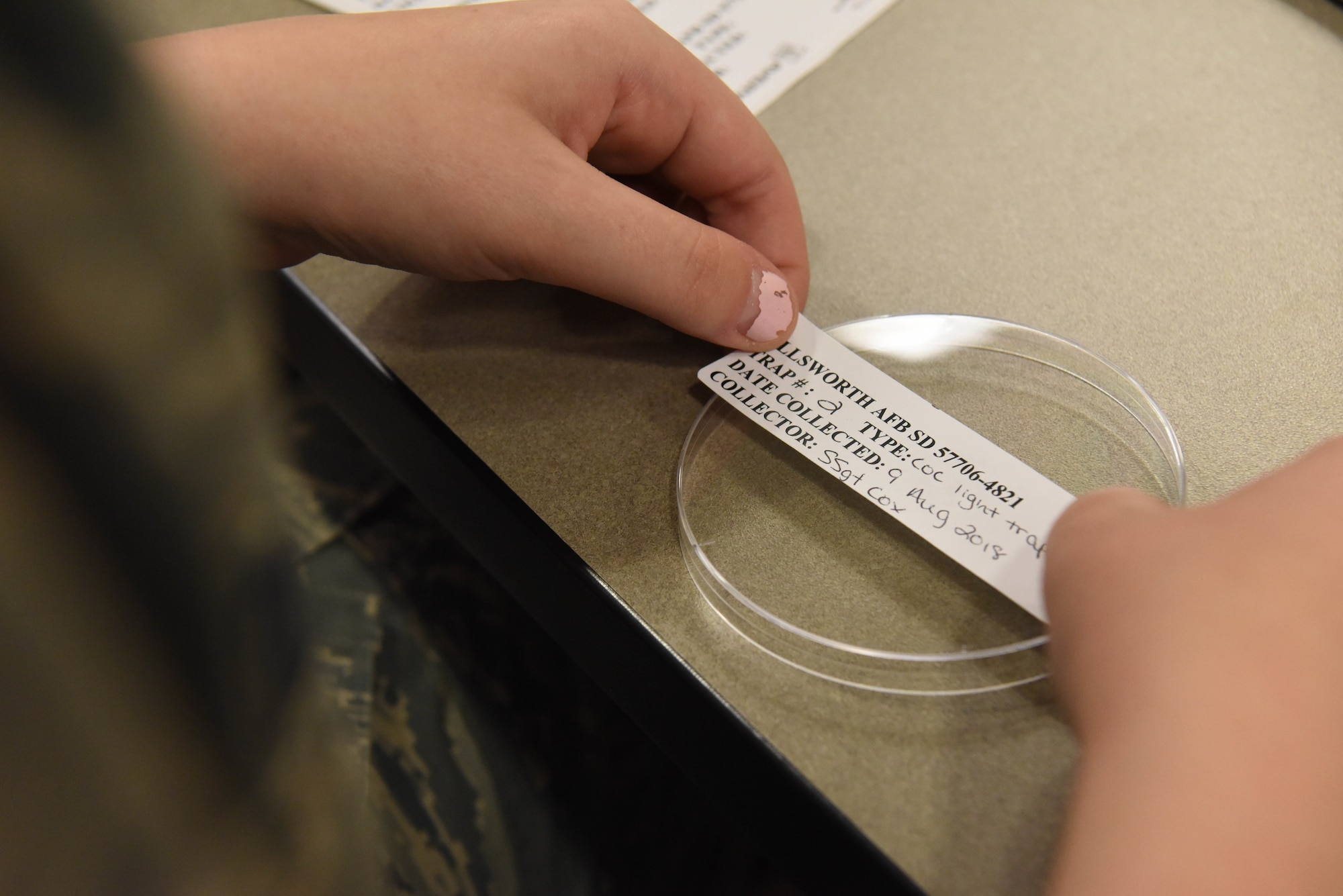 Staff Sgt. Sarah Cox, the 28th Medical Group noncommissioned officer in charge of community health, places a label on a container filled with mosquitoes at Ellsworth Air Force Base, S.D., Aug. 9, 2018. The 28th MDG public health flight sent more than 700 mosquitoes to the U.S. Air Force School of Aerospace Medicine at Wright-Patterson Air Force Base, Ohio, to test for diseases. (U.S. Air Force photo by Airman 1st Class Thomas Karol)