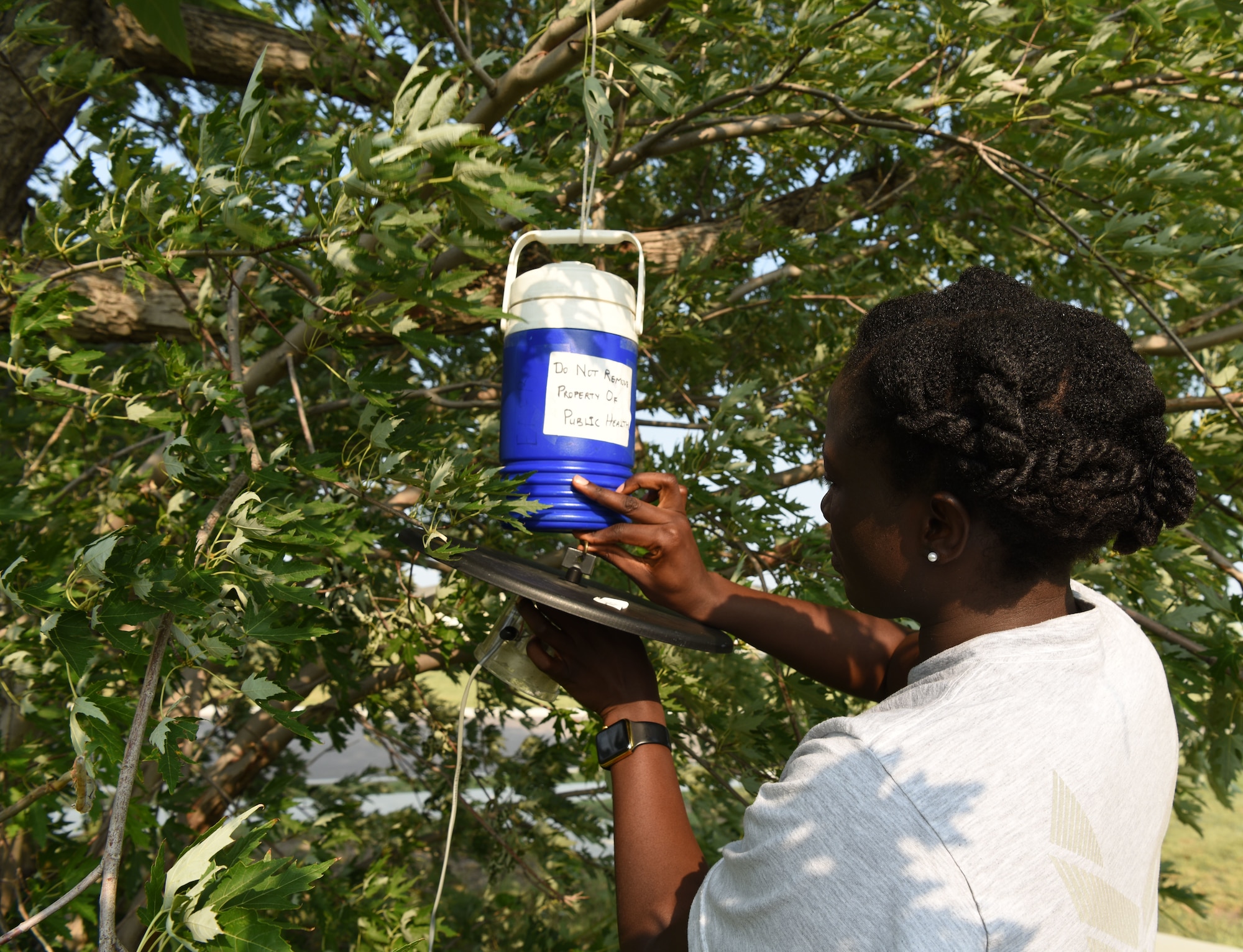 Airman 1st Class Georgette Ndamukong, a 28th Medical Group public health technician, sets up a mosquito trap at Ellsworth Air Force Base, S.D., Aug. 13, 2018. Public health members capture mosquitoes on a continuous basis to be sent off and tested for diseases, such as the West Nile virus. (U.S. Air Force photo by Airman 1st Class Thomas Karol)