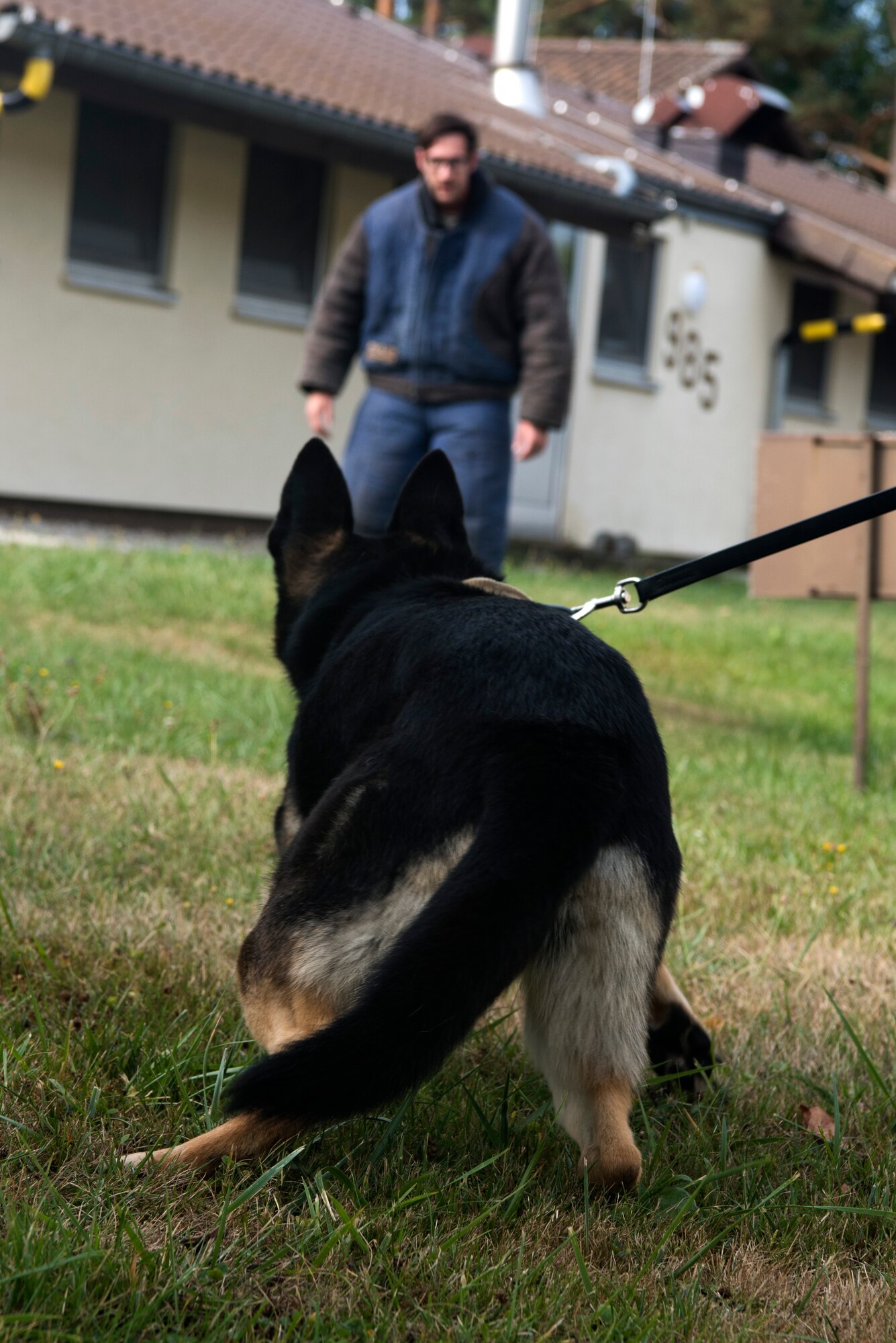 U.S. Air Force Staff Sgt. Michael Hensley, 52nd Security Forces Squadron military working dog trainer, conducts training with Tina, a MWD, at Spangdahlem Air Base, Germany, Aug. 28, 2018. Hensley pretended to be a suspect to prepare Tina for possible real scenarios. Handlers and trainers wear protective gear to allow MWDs to practice correctly subduing a suspect. (U.S. Air Force photo by Airman 1st Class Valerie Seelye)