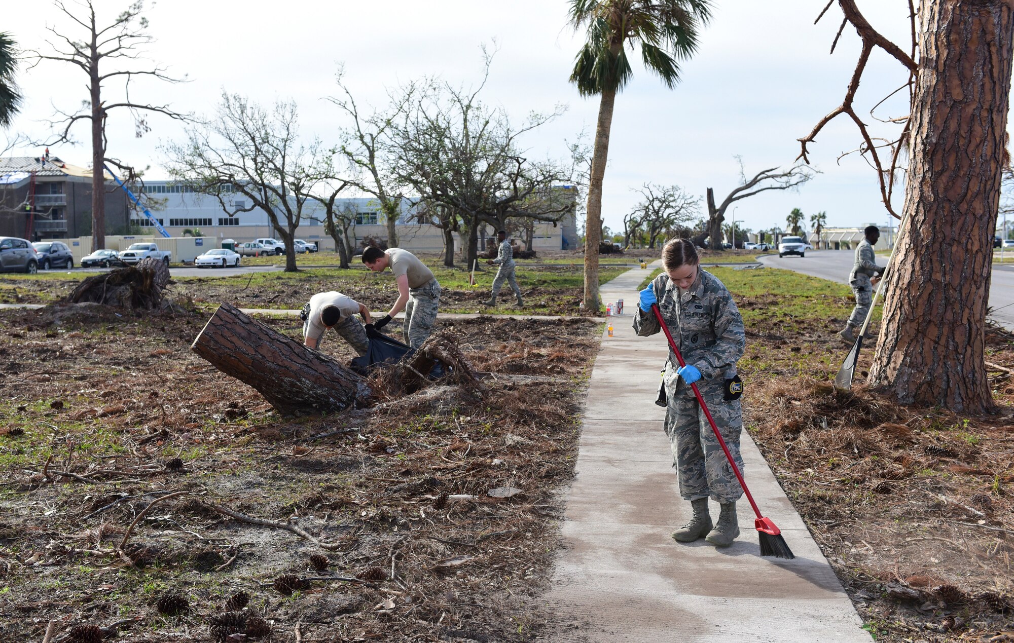 Task Force Talon II Airmen clean the grounds in the dormitory area at Tyndall Air Force Base, Fla., Nov. 29, 2018. Task Force Talon II is responsible for clearing debris and cleaning various parts of the base to include parts of the flightline and dormitories. (U.S. Air Force photo by Senior Airman Cody R. Miller)