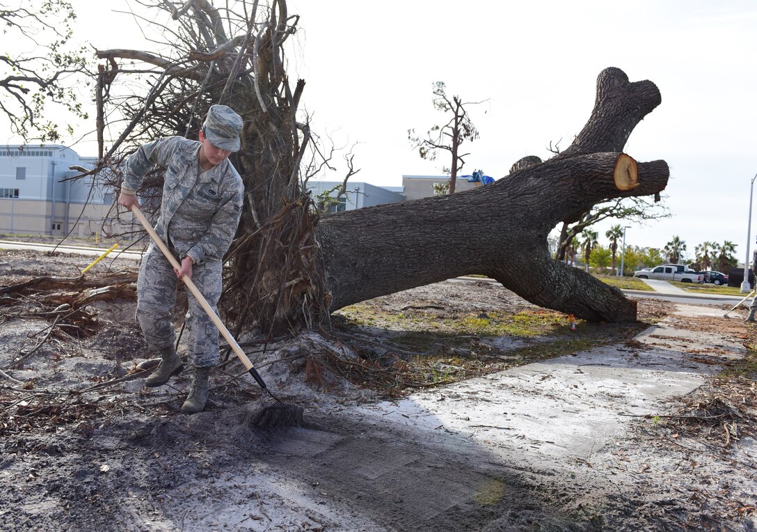 Airman 1st Class Audrey Carranco, 325th Maintenance Squadron munition systems specialist, rakes debris from the sidewalk as part of Task Force Talon II at Tyndall Air Force Base, Fla., Nov. 29, 2018. Task Force Talon II is responsible for clearing debris and cleaning various parts of the base to include parts of the flightline and dormitories. (U.S. Air Force photo by Senior Airman Cody R. Miller)