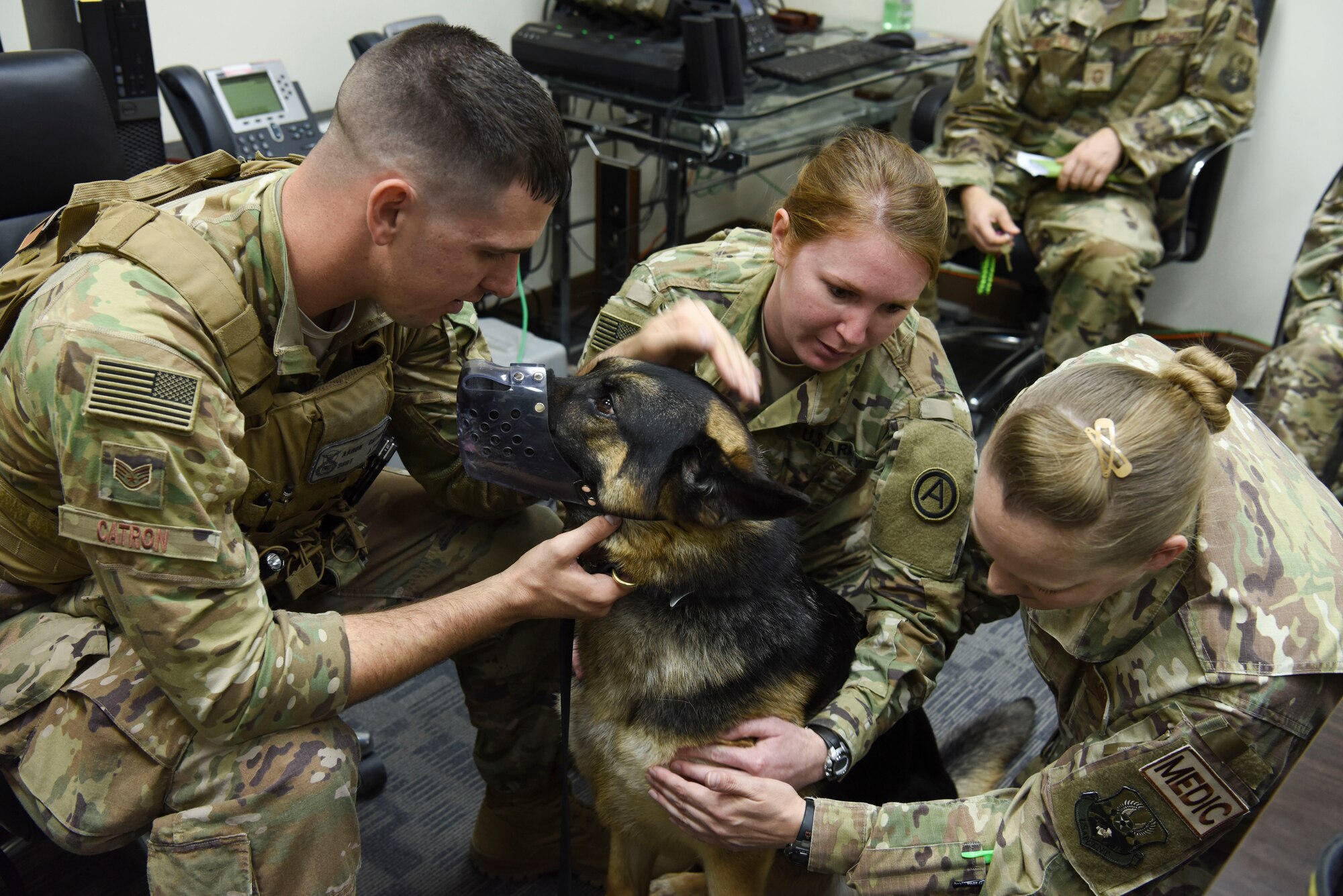 U.S. Air Force Staff Sgt. Aaron Catron, 380th Expeditionary Security Forces Squadron military dog handler, keeps his MWD Morty calm while U.S. Army Capt Theresa Hubbell, Area Support Group Kuwait Camp Arifjan veterinary officer in charge, shows U.S. Air Force Staff. Sgt. Kristin Niemi, 380th Expeditionary Medical Group medical technician, spots where medical procedures can be performed during basic preventative medical service training, Nov. 27, 2018, at Al Dhafra Air Base, United Arab Emirates. Due to the distance of the veterinary clinic in Kuwait and the services available for MWD at ADAB, Hubbell visited ADAB to perform a quarterly inspection of the MWDs and their living quarters, and provided training for the handlers and Emergency Medical Technicians. (U.S. Air Force photo by Tech. Sgt. Darnell T. Cannady)