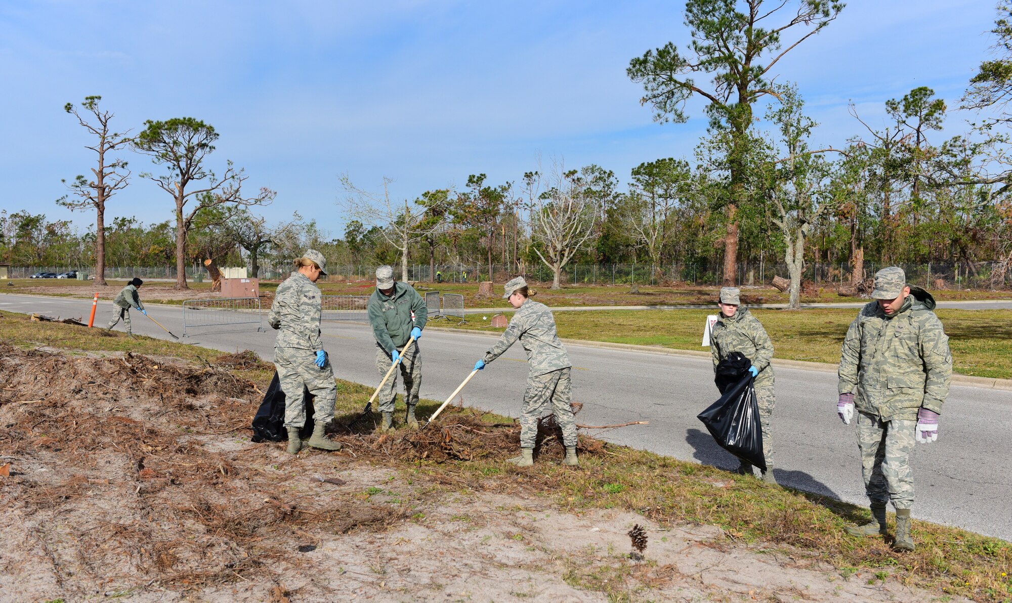 Task Force Talon II Airmen remove debris from the roadside at Tyndall Air Force Base, Fla., Nov. 29, 2018. Task Force Talon II is responsible for clearing debris and cleaning various parts of the base to include parts of the flightline and dormitories. (U.S. Air Force photo by Senior Airman Cody R. Miller)