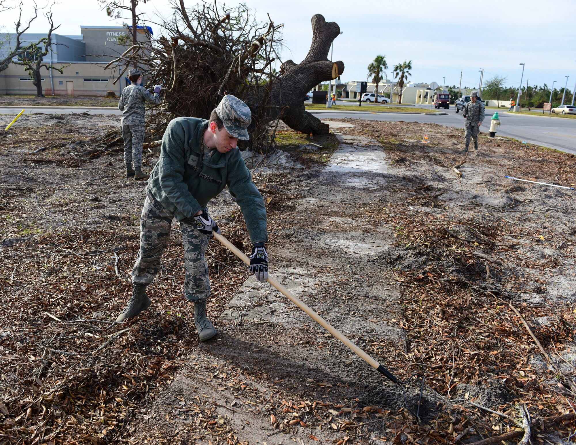 Airman 1st Class Cooper Russell, 337th Air Control Squadron weapons systems technician, rakes debris from the sidewalk as part of Task Force Talon II at Tyndall Air Force Base, Fla., Nov. 29, 2018. Task Force Talon II is responsible for clearing debris and cleaning various parts of the base to include parts of the flightline and dormitories. (U.S. Air Force photo by Senior Airman Cody R. Miller)