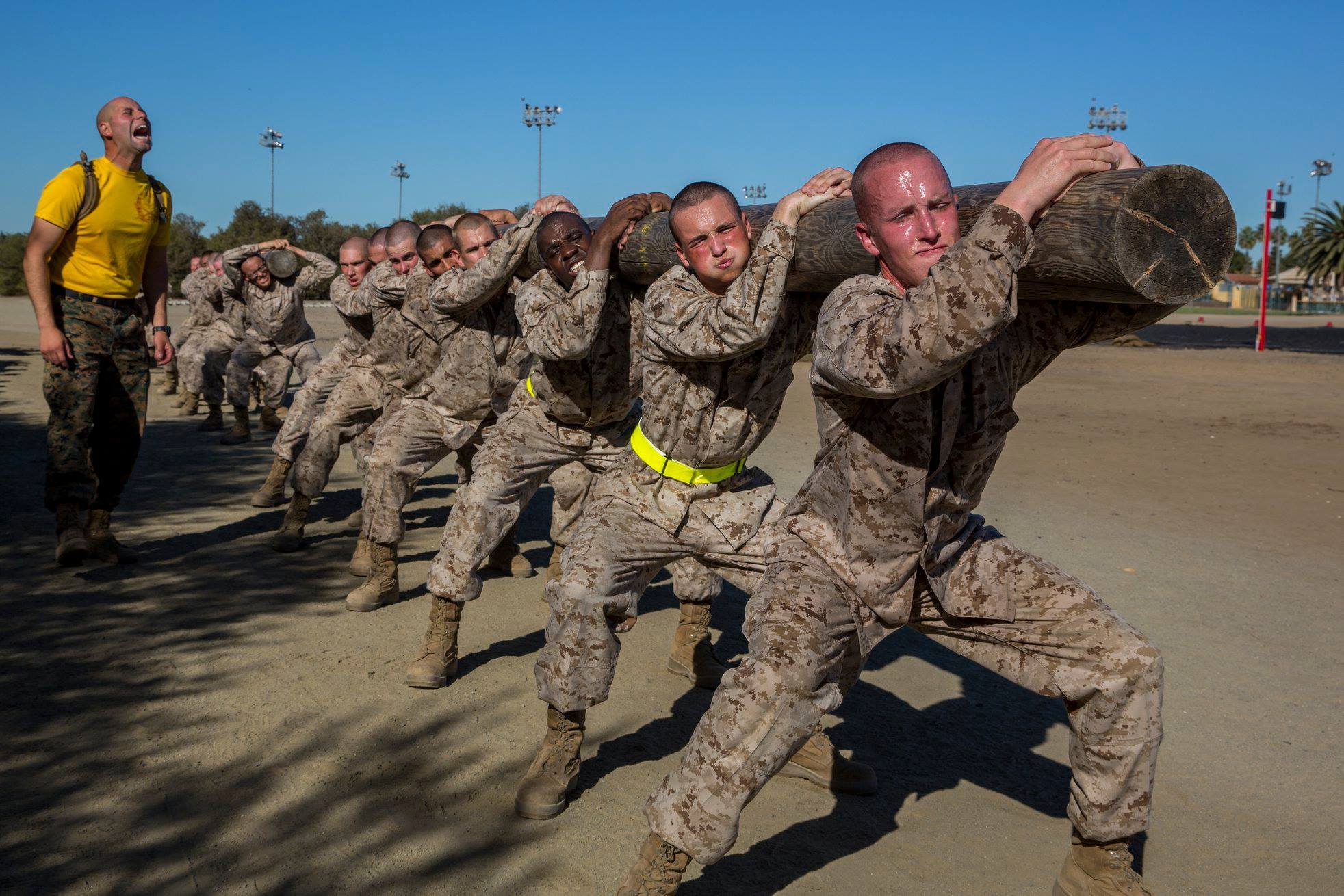 Армейские тренировки. Комплекс тренировок для армии. Тактическое бревно. Армия тренировка тело. Армейская подготовка упражнения.