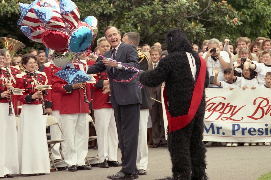 President Bush is accosted by a gorilla carrying mylar balloons in celebration of the President's 65th birthday, South Lawn of the White House, 12 Jun 89.
