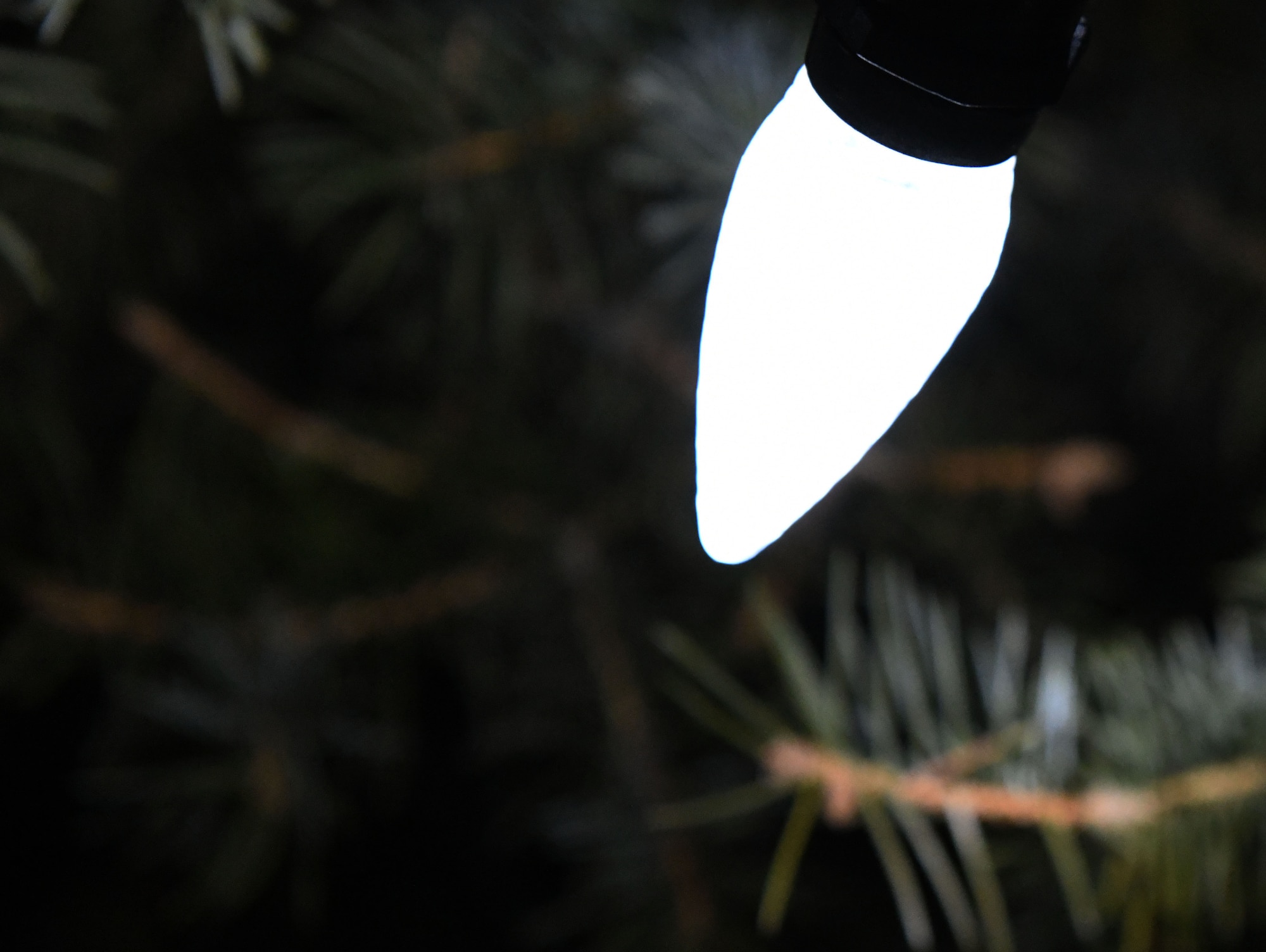A light shines bright during a tree lighting ceremony at the Freedom Chapel on Ellsworth Air Force Base, S.D., Nov. 30, 2018. Airmen and their families came out to celebrate the lighting of the base tree and to start the holidays in a festive and family-friendly environment where multiple religions were represented. (U.S. Air Force photo by Airman 1st Class Thomas Karol)