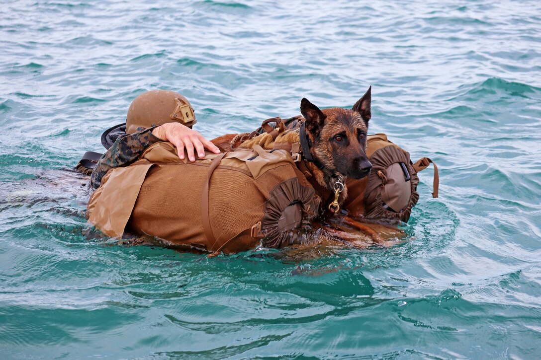 A Marine and a dog float in water.