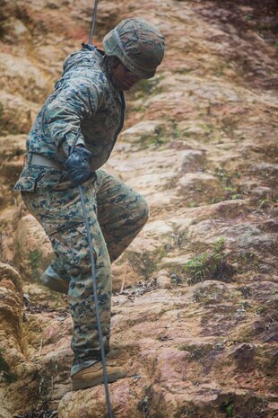 Lance Cpl. Carlos Martinez hasty repels down a slope Dec. 4, 2018 at Jungle Warfare Training Center, Camp Gonsalves, Okinawa, Japan. Marines with 9th Engineer Support Battalion, 3rd Marine Logistics Group, took part in the Basic Jungle Skills Course which includes patrolling, repelling, land navigation and an endurance course. Hasty repelling gives Marines the ability to travel through hill and bluff ridden terrain. Martinez, a combat engineer with Bravo Company, 9th ESB, 3rd MLG, is a native of Coral Springs, Florida. (U.S. Marine Corps photo by Lance Cpl. Mark Fike)