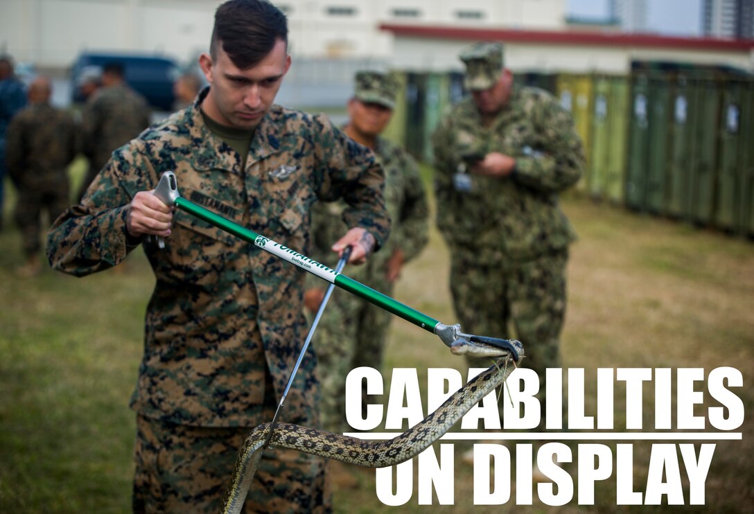 U.S. Navy Hospital Corpsman 2nd Class John Bustamante handles a habu snake during a preventive medicine course as part of a capabilities display Nov. 29, 2018 at Camp Foster, Okinawa, Japan. The preventive medicine snake relocation course allowed Sailors to practice safely relocating reptiles from areas where they pose a threat. Sailors with 3rd Medical Battalion, 3rd Marine Logistics Group, established a Role II capabilities display to give service members the opportunity to view their full facilities. Preventive medicine technicians displayed and offered courses on their food and water sanitation test, snake relocation and entomology surveillance capabilities. Bustamante, a corpsman with 3rd Medical Bn., 3rd MLG, is a native of Killeen, Texas. (U.S. Marine Corps photo by Lance Cpl. Mark Fike)