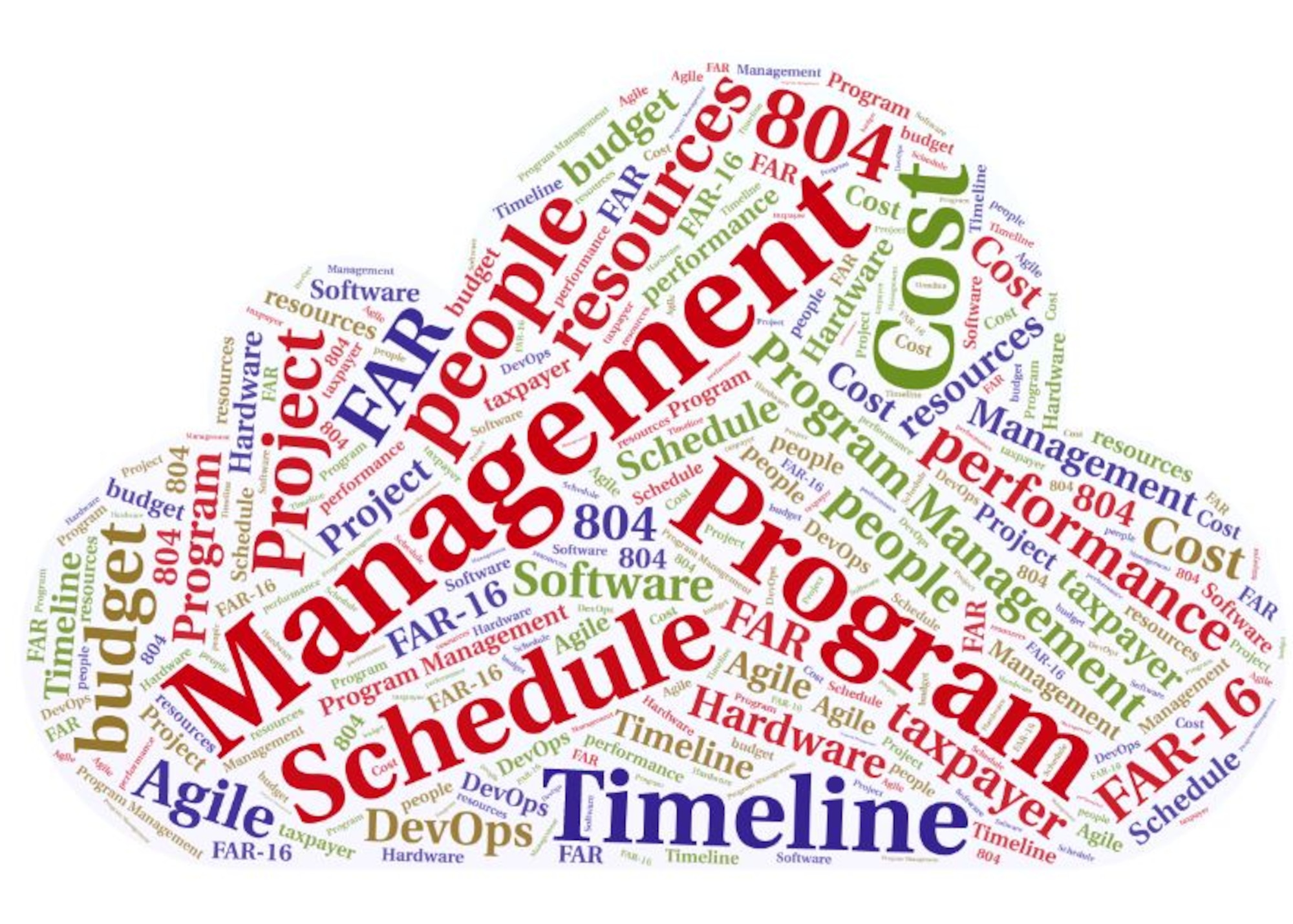 Program management word cloud