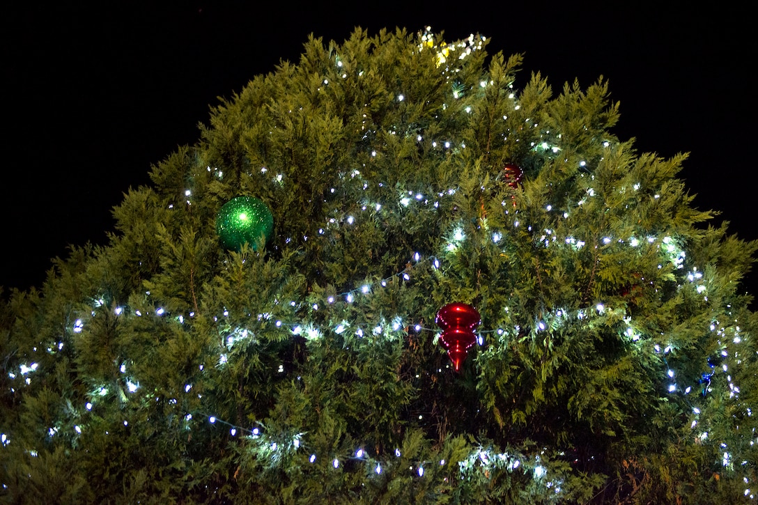 An illuminated tree stands during the Tree Lighting Ceremony, Nov. 30, 2018, at Moody Air Force Base, Ga. The event continues the tradition of families of deployed Airmen lighting the base Christmas tree. As a way to celebrate the sacrifices of Team Moody Airmen and their families, the base also hosted a parade and other holiday festivities. (U.S. Air Force photo by Airman 1st Class Erick Requadt)