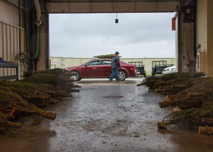 Mr. Robert Butler, Air Force Personnel Center, Human Resources, volunteers to help the Trees for Troops program distribute donated Christmas trees at Joint Base San Antonio-Randolph, Texas, Dec. 7, 2018. This year there were 165 Christmas trees available.