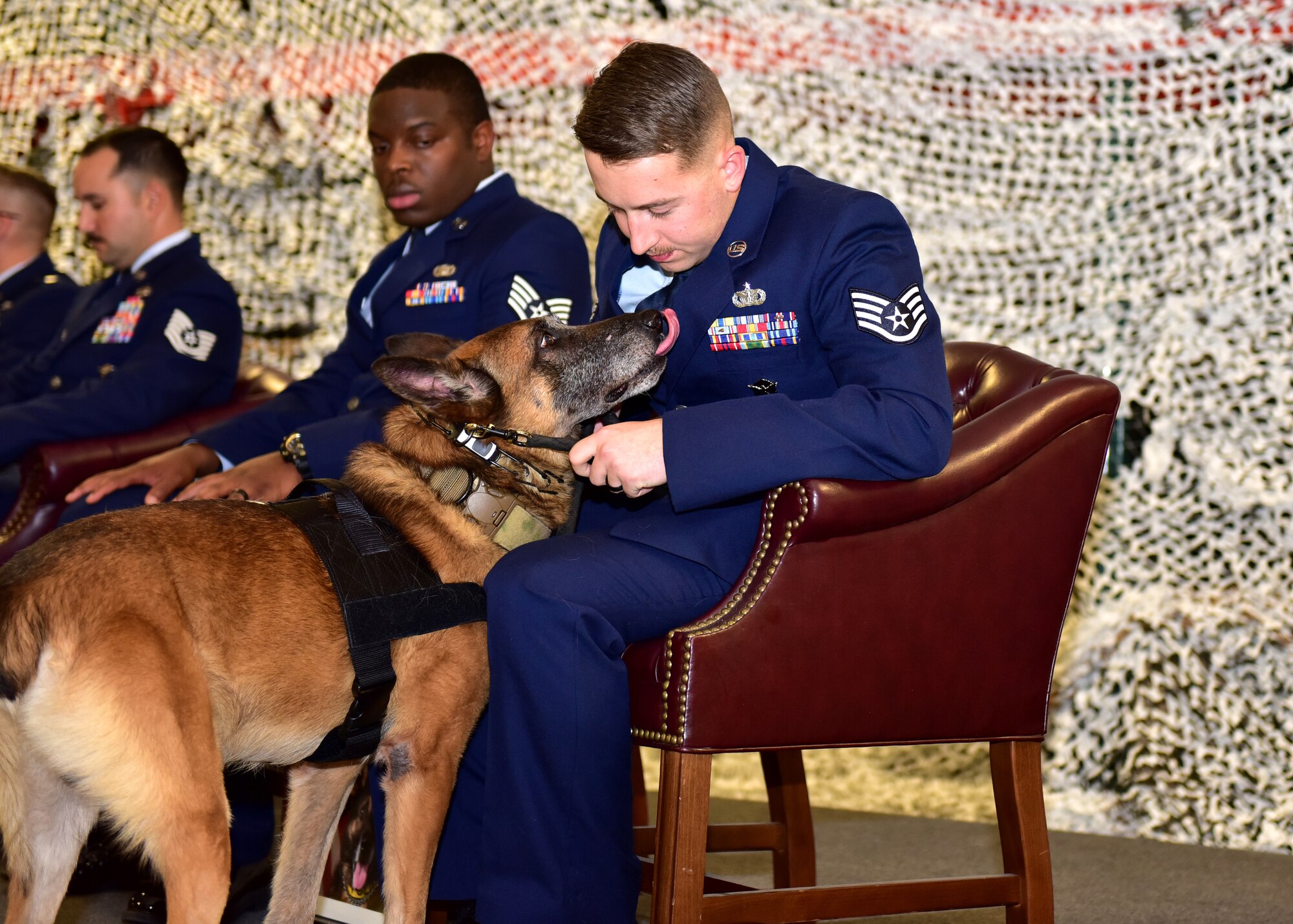 Military working dogs retire inside a building surrounded by people in uniform.