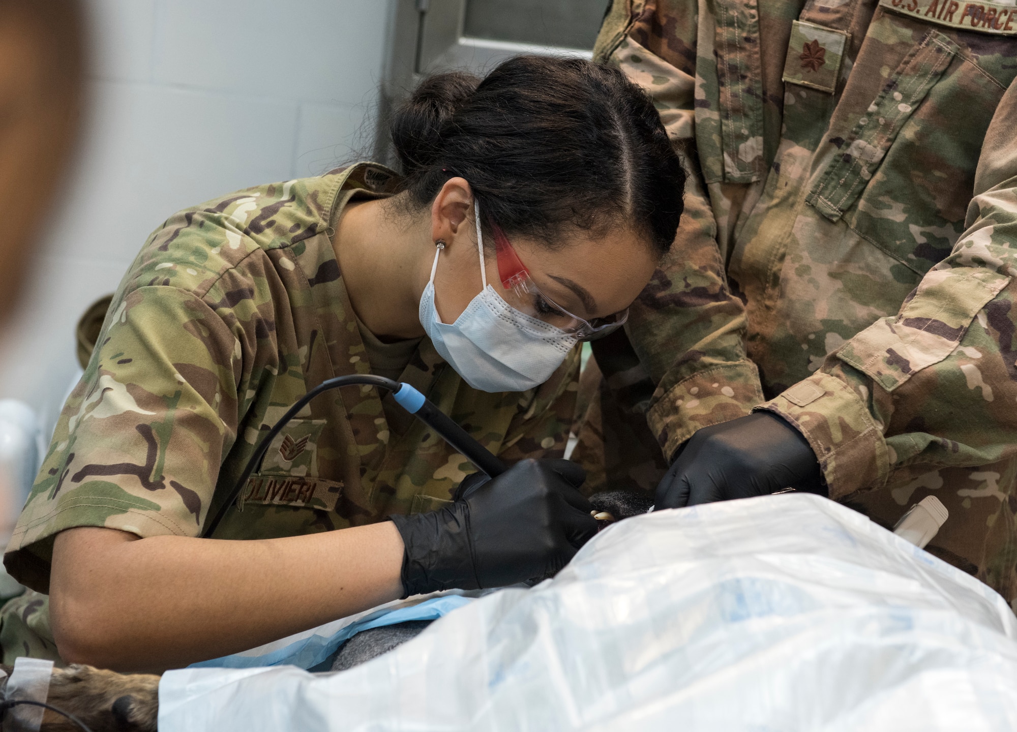 U.S. Air Force Staff Sgt. Torri Olievieri, 386th Expeditionary Medical Group dental services non-commissioned officer in charge, conducts a teeth cleaning at an Undisclosed Location in Southwest Asia, Dec. 7, 2018. While deployed, the veterinary clinic relies on the medical group for many of their medications and to be a contingency plan if they an emergent situation were to occur.
