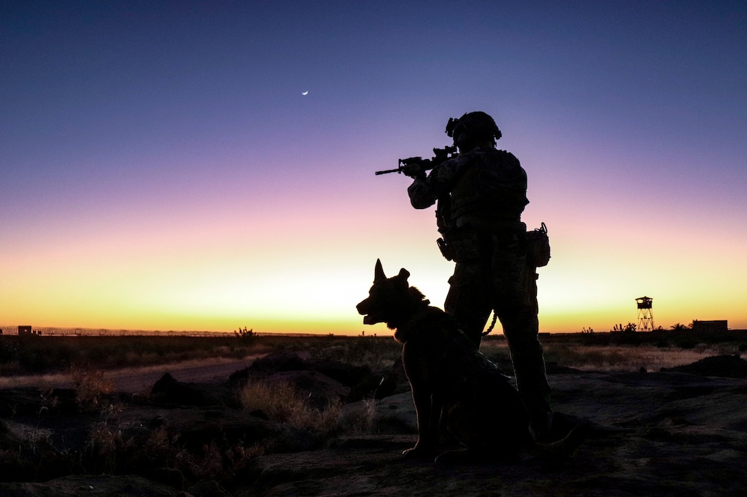 An airman and a dog keep watch at the edge of an air base.