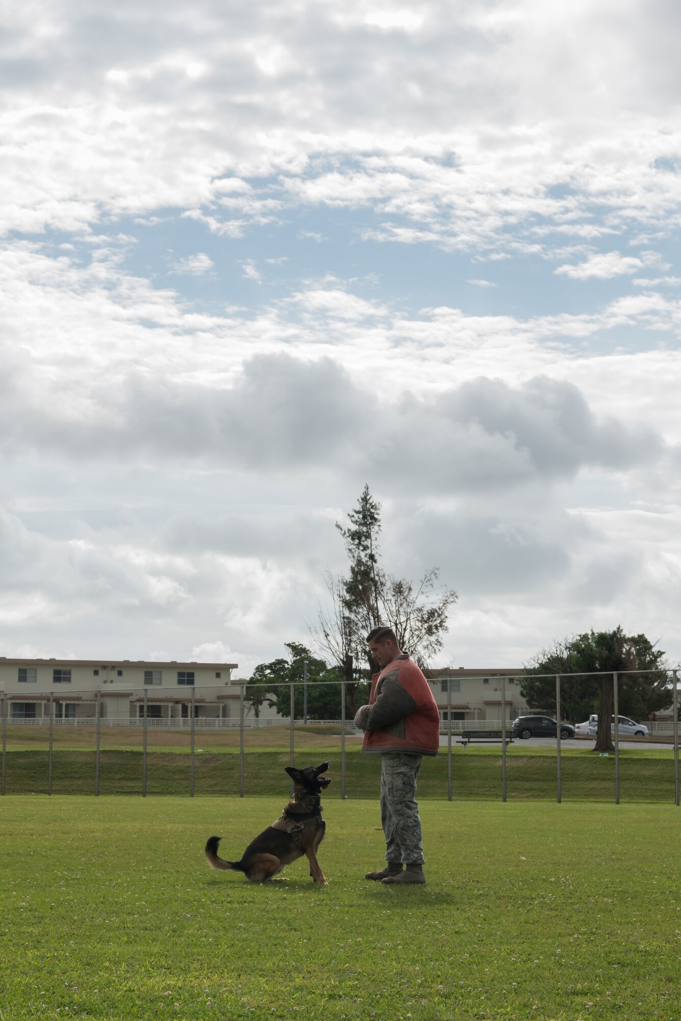 U.S. Air Force Senior Airman James Burger, 18th Security Forces Squadron military working dog handler, is watched by military working dog, Biba, Nov. 21, 2018, at Kadena Air Base, Japan. Military working dogs can be trained to aid in capturing, detaining and transporting suspects, as well as identify drugs and improvised explosive devices.