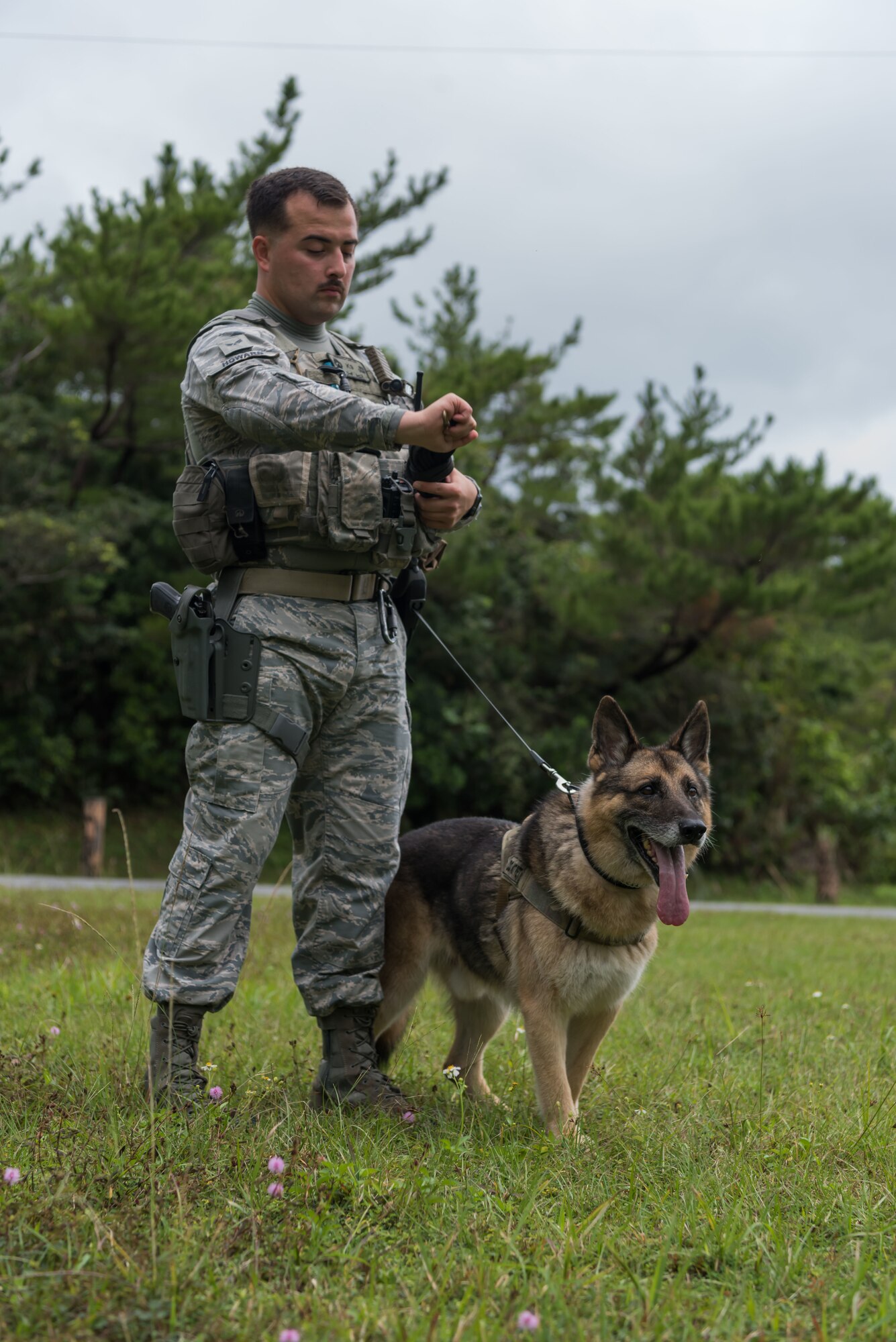 U.S. Air Force Senior Airman Carlos Howard, 18th Security Forces Squadron military working dog handler, prepares his military working dog, KitKat, to engage a suspect Nov. 21, 2018, at Kadena Air Base, Japan. Military working dogs can be trained to aid in capturing, detaining and transporting suspects, as well as identify drugs and improvised explosive devices.