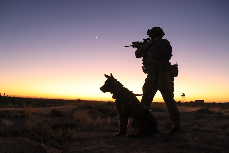 A military working dog handler and his military working dog