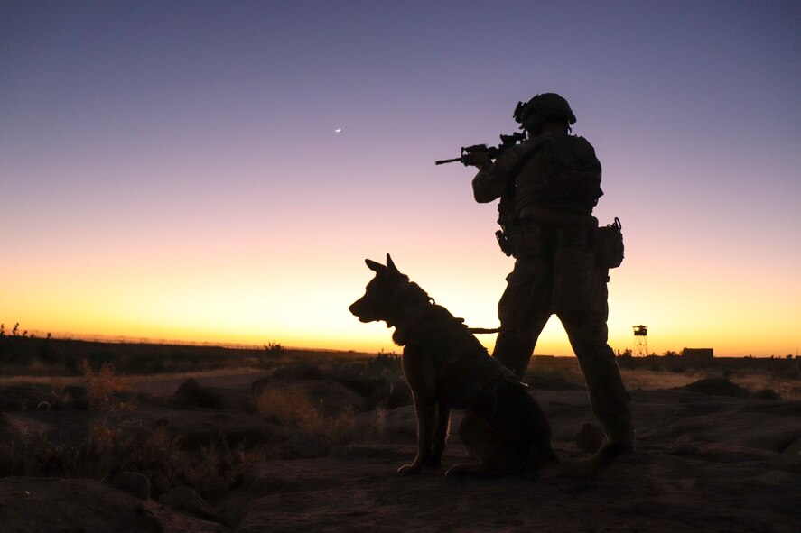 A military working dog handler and his military working dog