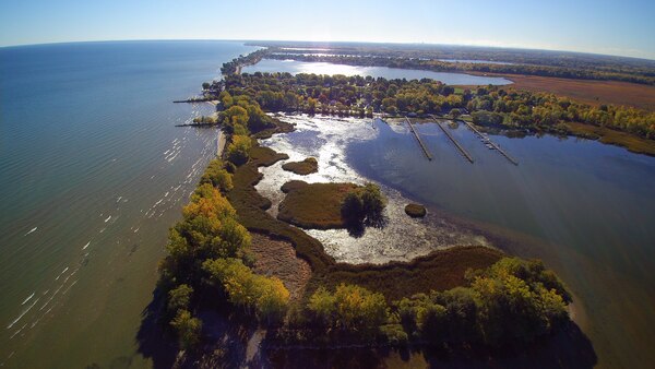 Two years ago, the U.S. Army Corps of Engineers, Buffalo District began a $10 million project to restore the Braddock Bay ecosystem in Greece, NY. Erosion had washed away emergent wetlands and invasive species dominated the marshes. Today, species-rich native communities blossom with emergent aquatic meadows, and restored beach habitat are visited by a variety of shorebirds including black-bellied plover, Baird’s sandpiper, and the federally endangered piping plover.