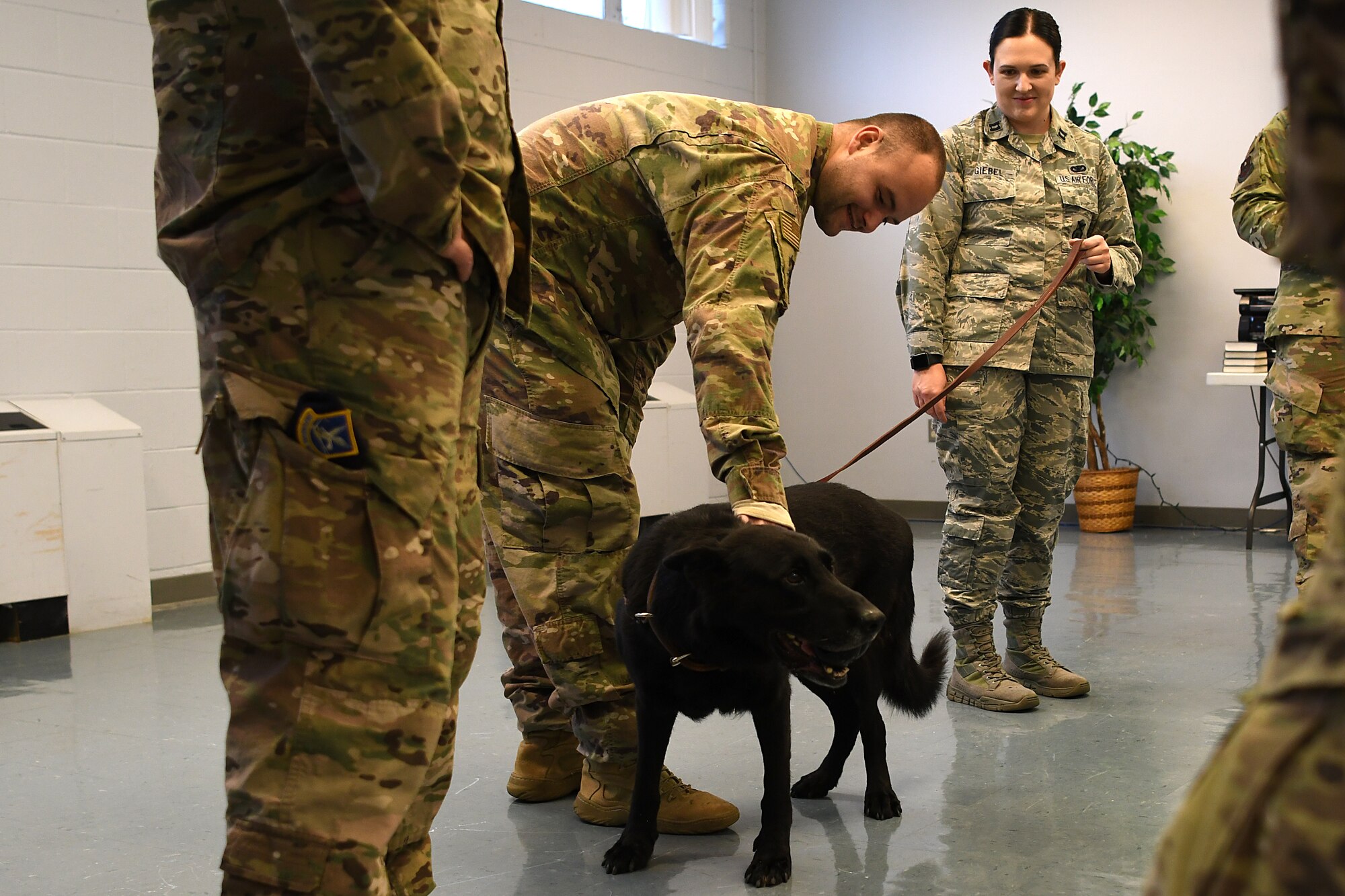 Bleck, 81st Security Forces Squadron military working dog, socializes with 81st SFS Airmen before his retirement ceremony inside the Larcher Chapel at Keesler Air Force Base, Mississippi, Dec. 13, 2018. Bleck was accepted into military service August 2010, became fully certified as a patrol and drug detector dog in March 2011, and was assigned to Keesler shortly after. (U.S. Air Force photo by Airman 1st Class Suzie Plotnikov)