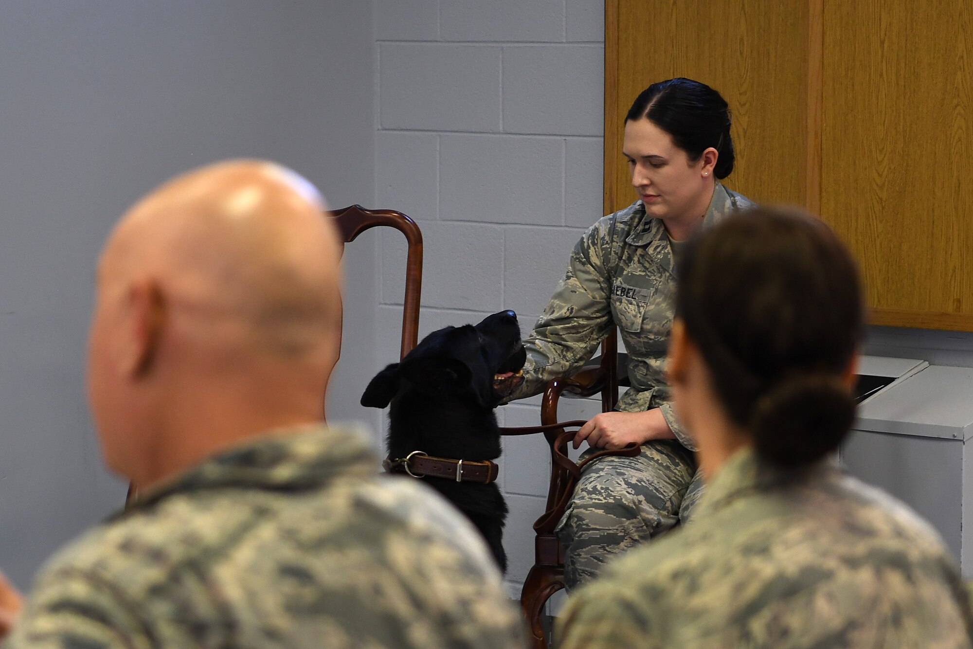 Bleck, 81st Security Forces Squadron military working dog, sits next to U.S. Air Force Capt. Samantha Giebel, 81st SFS operations officer, during his retirement ceremony inside the Larcher Chapel at Keesler Air Force Base, Mississippi, Dec. 13, 2018. After serving eight years and working alongside 11 handlers during his career, he was adopted by Giebel. (U.S. Air Force photo by Airman 1st Class Suzie Plotnikov)