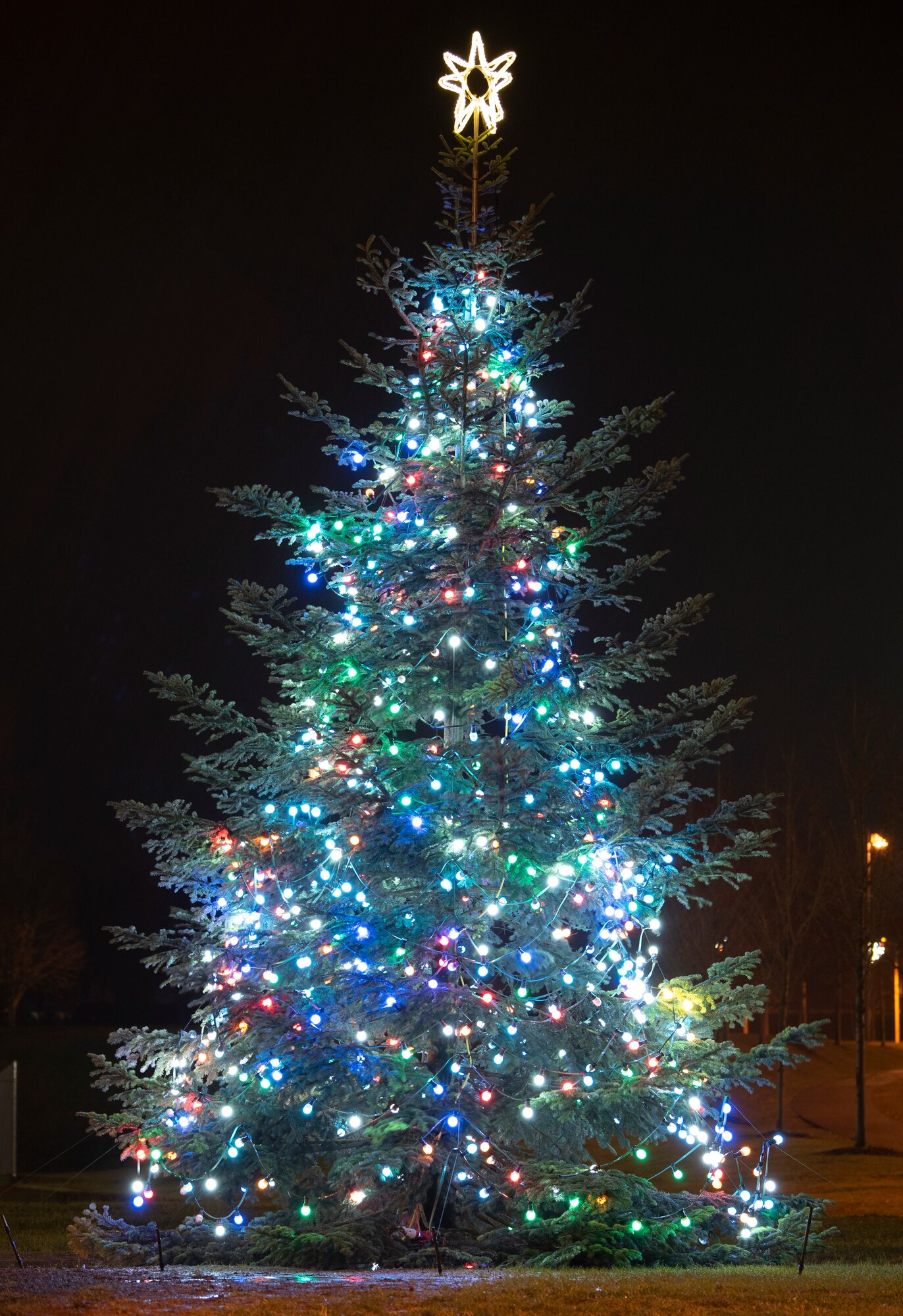 Christmas Tree lighting ceremony