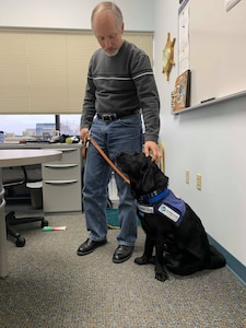 If you step inside Jeff Schafer’s office, you’ll see an assortment of things you might expect, like a coffee mug and a computer. You may not have anticipated, or even noticed, a service dog-in-training to be lying patiently by Schafer’s feet.