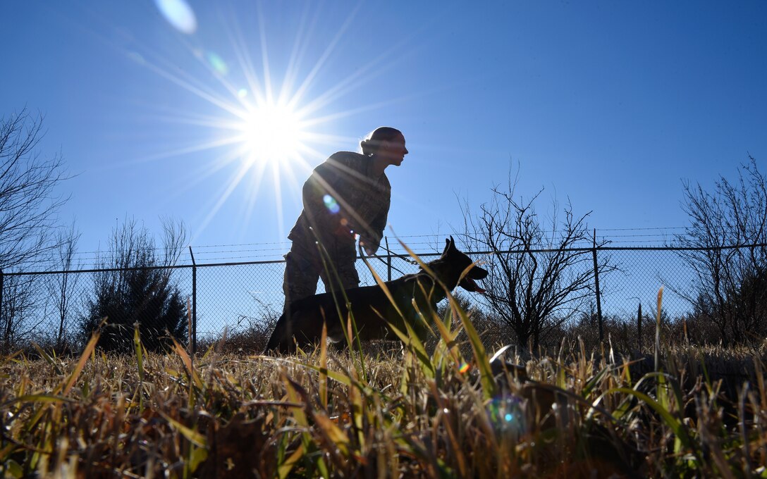 Senior Airman Sarah Pawlak, 22nd Security Forces Squadron military working dog handler, holds MWD Sani back before pursuit and attack training Dec. 10, 2018, at McConnell Air Force Base, Kansas. MWDs use this training to practice following and detaining suspects. (U.S. Air Force photo by Airman 1st Class Michaela R. Slanchik)