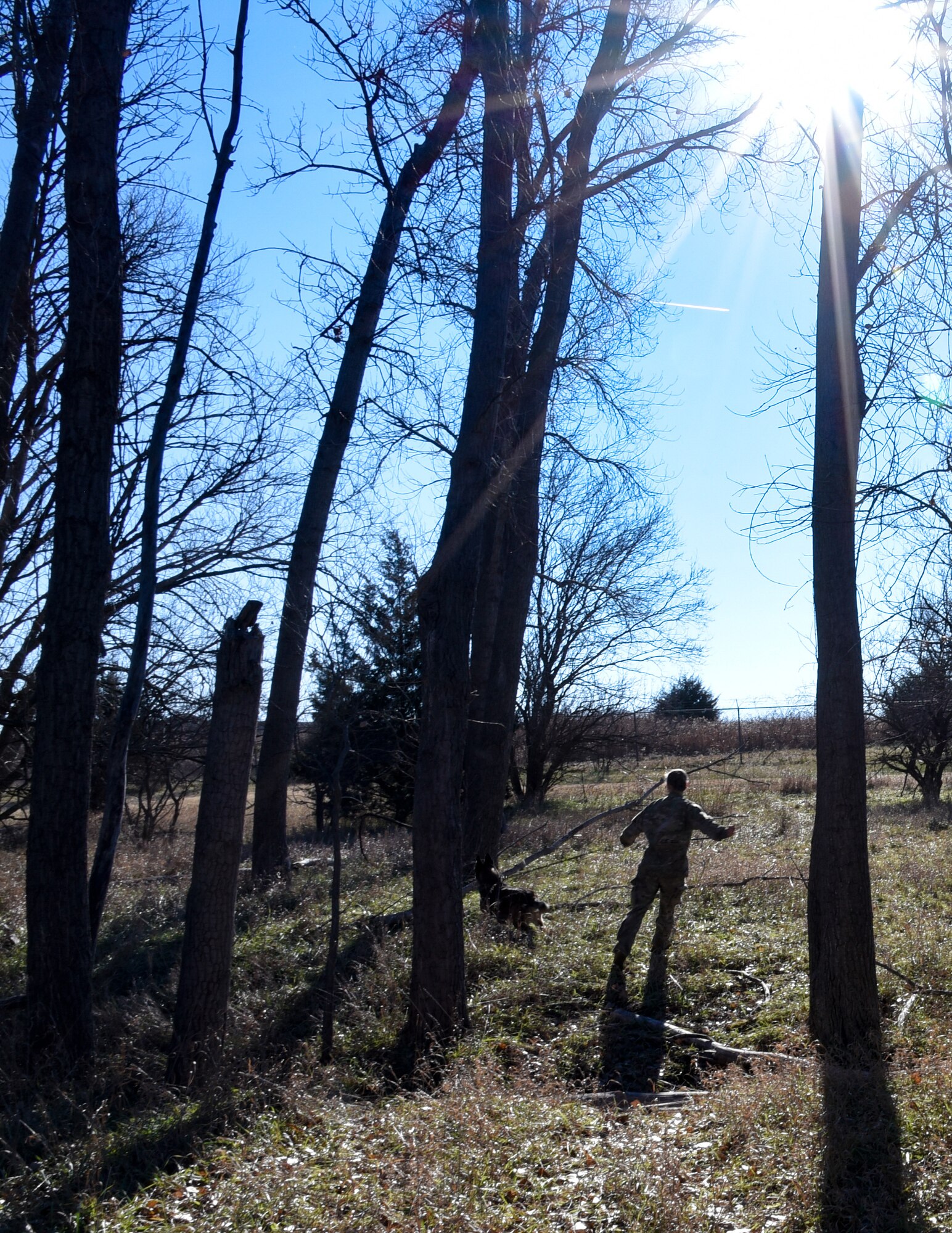 Senior Airman Sarah Pawlak, 22nd Security Forces Squadron military working dog handler, and MWD Sani search for the enemy during training Dec. 10, 2018, at McConnell Air Force Base, Kansas. The Belgian Malinois has many unique abilities such as a 270 degree field of vision, ability to run up to 30 mph and jaw strength of nearly 200 pounds of pressure. (U.S. Air Force photo by Airman 1st Class Michaela R. Slanchik)