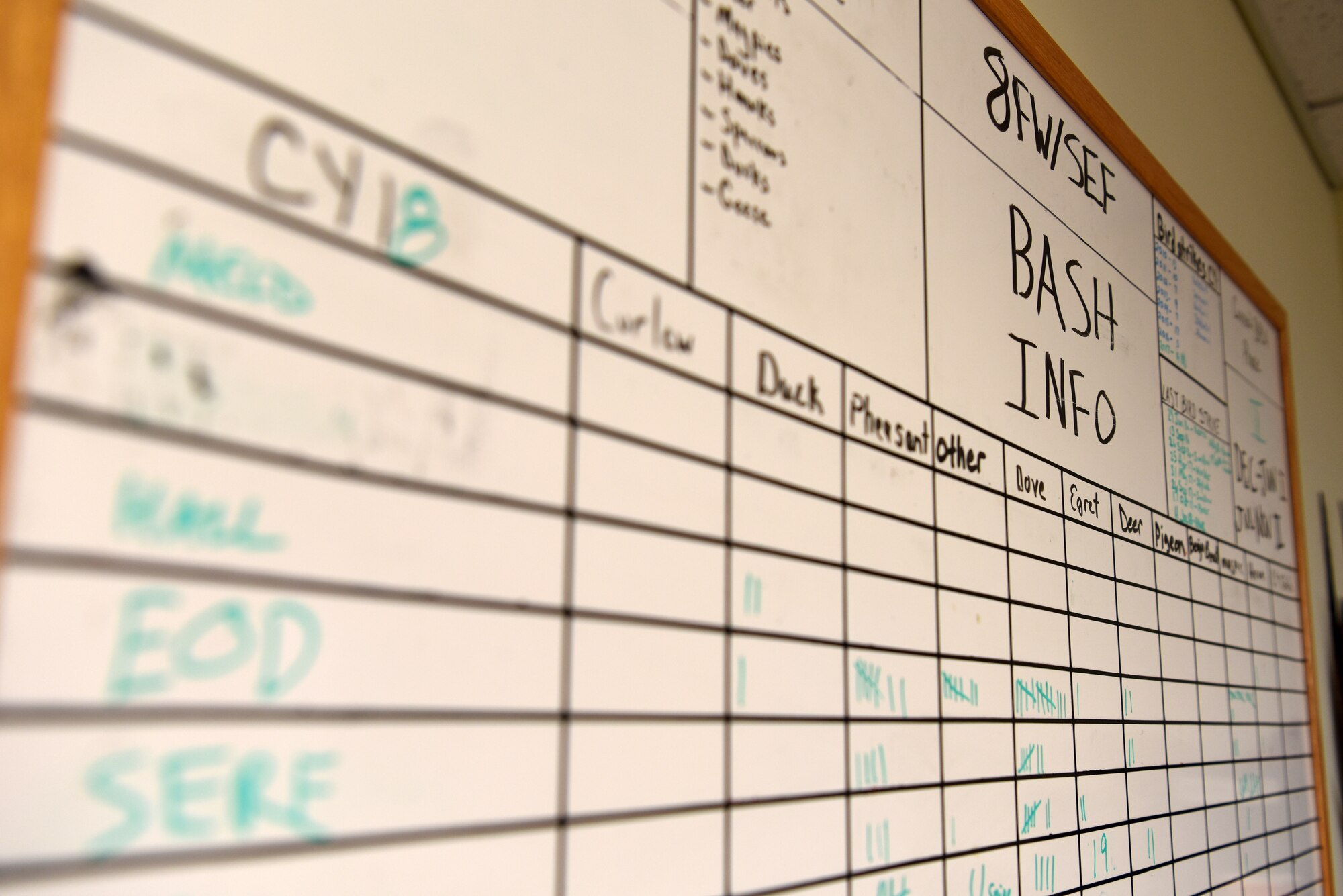 The 8th Fighter Wing Flight Safety office displays Bird and Wildlife Aircraft Strike Hazard statistics at Kunsan Air Base, Republic of Korea, Dec. 13, 2018. Information contained on the board includes number of strike incidents, types of pests and what units volunteer for the BASH program. (U.S. Air Force photo by Staff Sgt. Joshua Edwards)