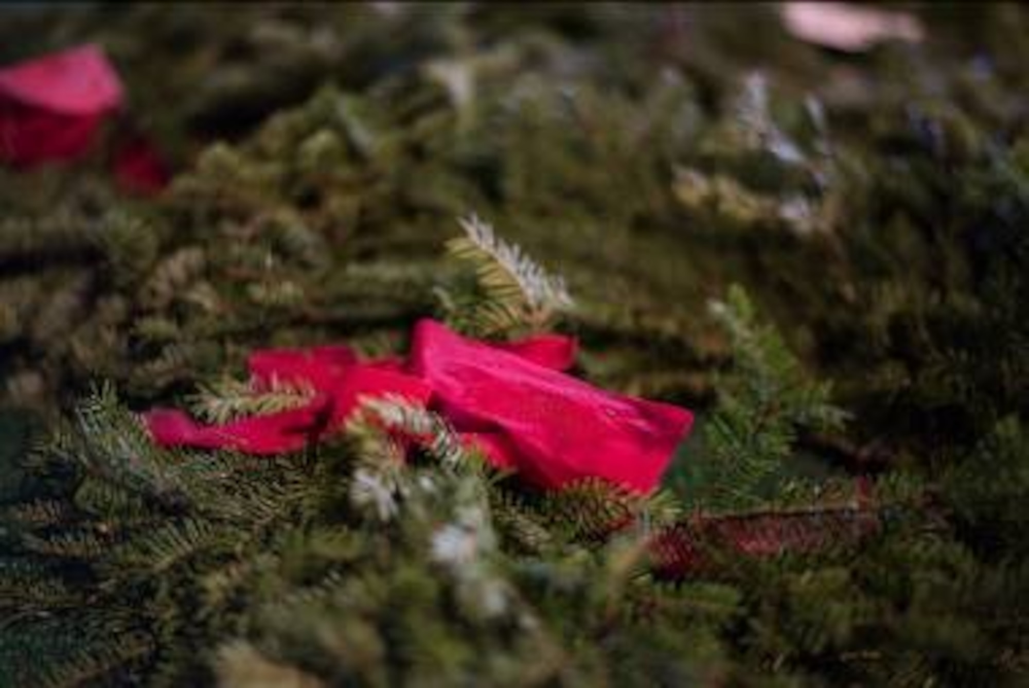 Holiday wreaths are laid out in preparation for the Wreaths Across America ceremony Dec. 14, 2018, at the Alabama National Cemetery, in Montevallo, Alabama. These wreaths are five out of 6000 and will be used to honor the different branches of the U.S. Armed Forces. (U.S. Air Force photo by Senior Airman Alexa Culbert)