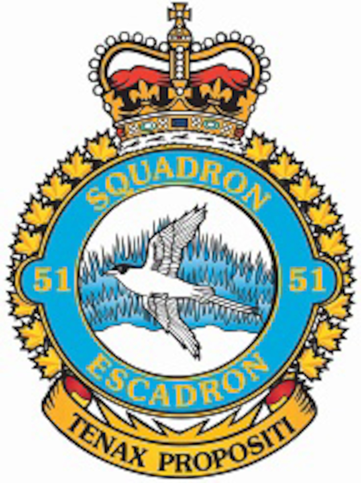 51 Aerospace Control and Warning (Operational Training) Squadron is a Royal Canadian Air Force unit based at the 22 Wing at Canadian Forces Base North Bay, Ontario.  The squadron is responsible for the operations and readiness training for RCAF personnel destined to work in the Canadian Air Defence Sector. (Courtesy photo)