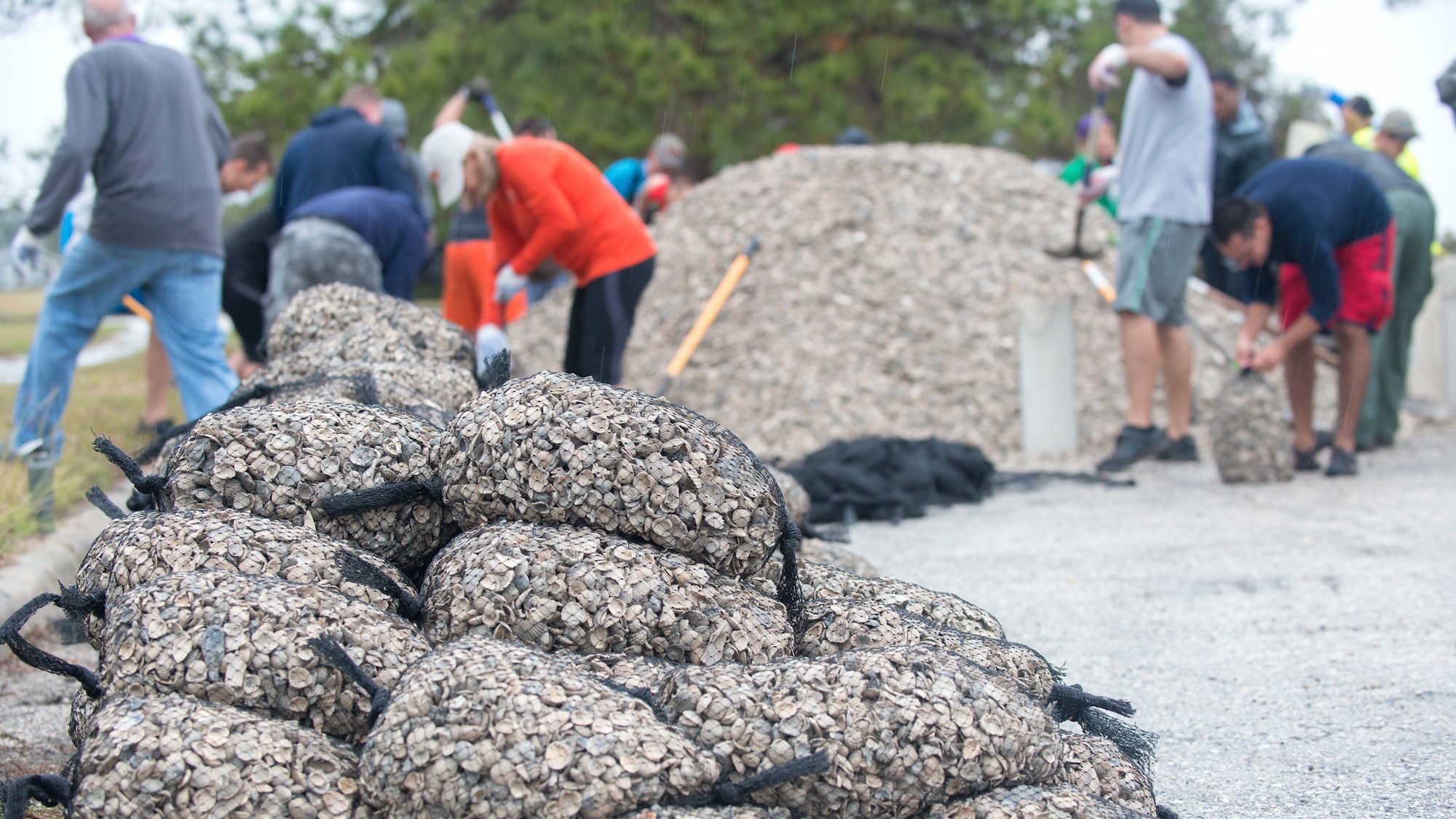 Bags of seashells wait to be moved to construct an oyster reef at MacDill Air Force Base, Fla., Dec. 14, 2018.