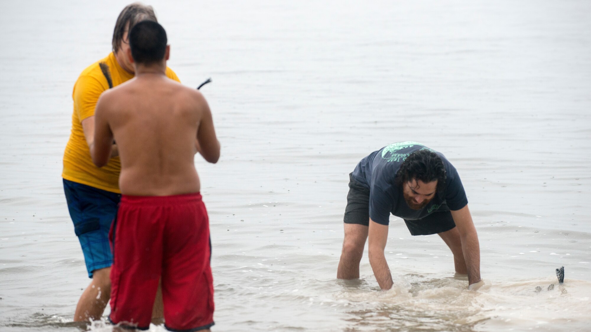 Volunteers place mesh seashell bags in the water on MacDill Air Force Base, Fla., Dec. 14, 2018.