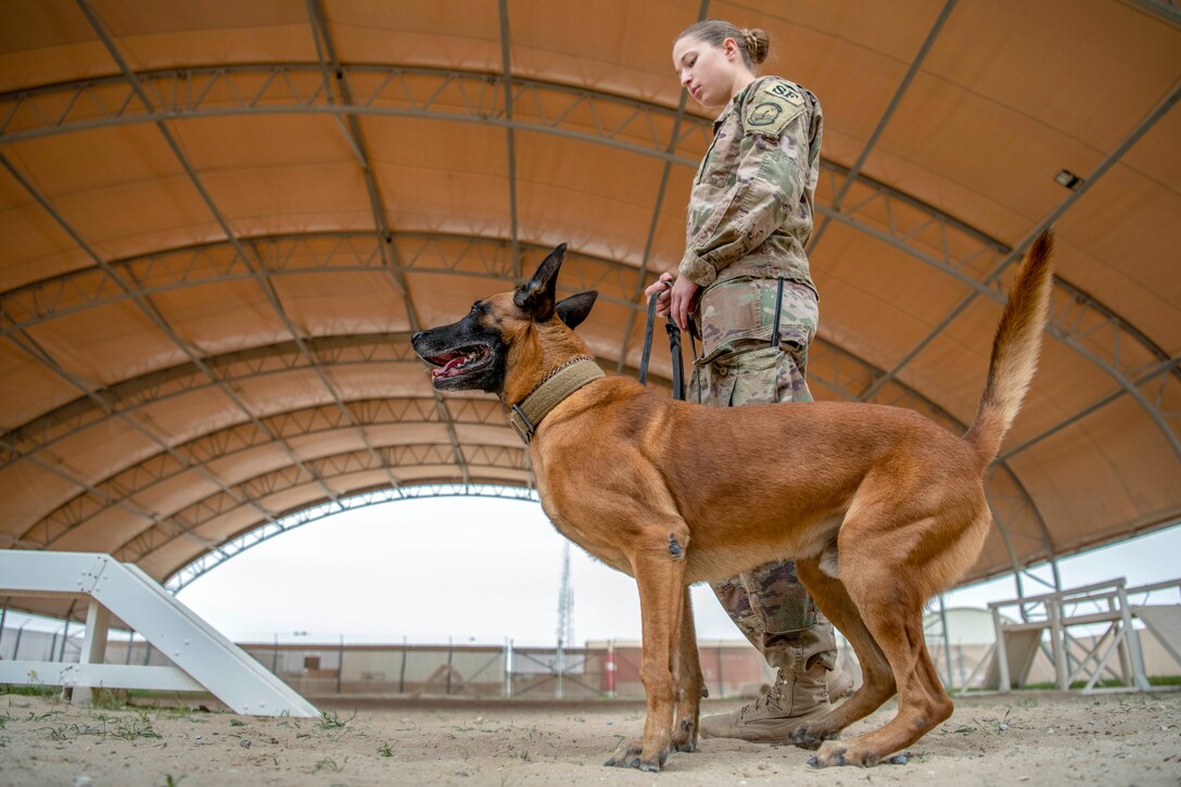 An airman stands with a dog.