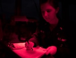 EAST CHINA SEA (Dec. 31, 2018) Ensign Lauren Larar writes the new years deck log entry while underway aboard the Arleigh Burke-class guided-missile destroyer USS McCampbell (DDG 85). McCampbell is forward-deployed to the U.S. 7th Fleet area of operations in support of security and stability in the Indo-Pacific region.