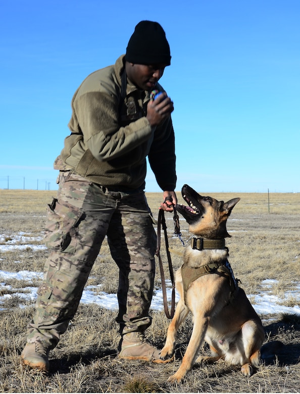 Senior Airman Benjamin Huntley, 341st Security Forces Squadron military working dog handler, guides his K-9, Kay, into a sit position Jan. 23, 2018, at Malmstrom Air Force Base, Mont.