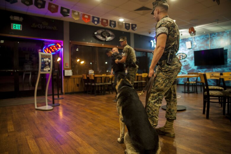 Cpl. Stevie Ezzell, a military working dog handler with the Provost Marshall’s Office, provides security with his dog, Pedro, as police officers arrest a simulated victim during a night exercise at the Kahuna’s Sports Bar & Grill, Marine Corps Base Hawaii (MCBH), Jan. 24, 2017. The K-9 unit continuously works to improve mission readiness with realistic training exercises that encompass tracking, escorting, searches and detaining. Military police officers and their working dogs help preserve the peace while also projecting their presence as a deterrent from crime aboard MCBH. (U.S. Marine Corps photo by Cpl. Jesus Sepulveda Torres)