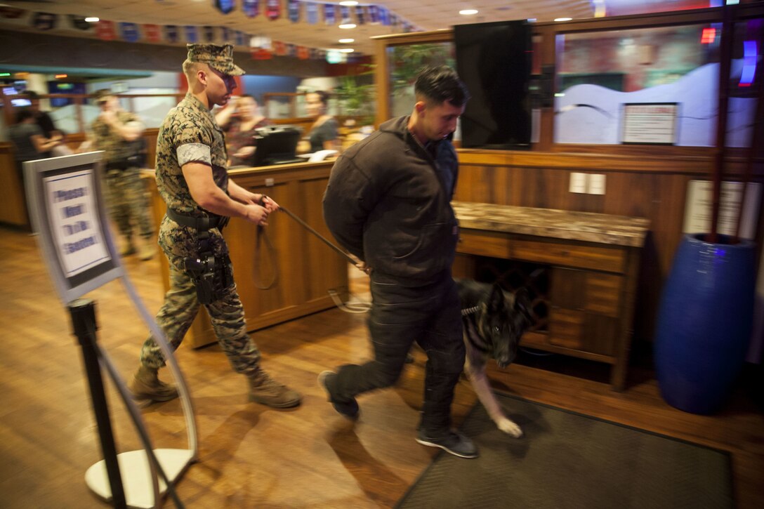 Cpl. Stevie Ezzell, a military working dog handler with the Provost Marshall’s Office, escorts a detainee with his dog, Pedro, during a night exercise at the Kahuna’s Sports Bar & Grill, Marine Corps Base Hawaii (MCBH), Jan. 24, 2017. The K-9 unit continuously works to improve mission readiness with realistic training exercises that encompass tracking, escorting, searches and detaining. Military police officers and their working dogs help preserve the peace while also projecting their presence as a deterrent from crime aboard MCBH. (U.S. Marine Corps photo by Cpl. Jesus Sepulveda Torres)