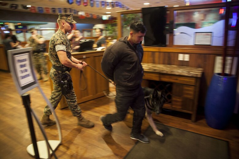 Cpl. Stevie Ezzell, a military working dog handler with the Provost Marshall’s Office, escorts a detainee with his dog, Pedro, during a night exercise at the Kahuna’s Sports Bar & Grill, Marine Corps Base Hawaii (MCBH), Jan. 24, 2017. The K-9 unit continuously works to improve mission readiness with realistic training exercises that encompass tracking, escorting, searches and detaining. Military police officers and their working dogs help preserve the peace while also projecting their presence as a deterrent from crime aboard MCBH. (U.S. Marine Corps photo by Cpl. Jesus Sepulveda Torres)