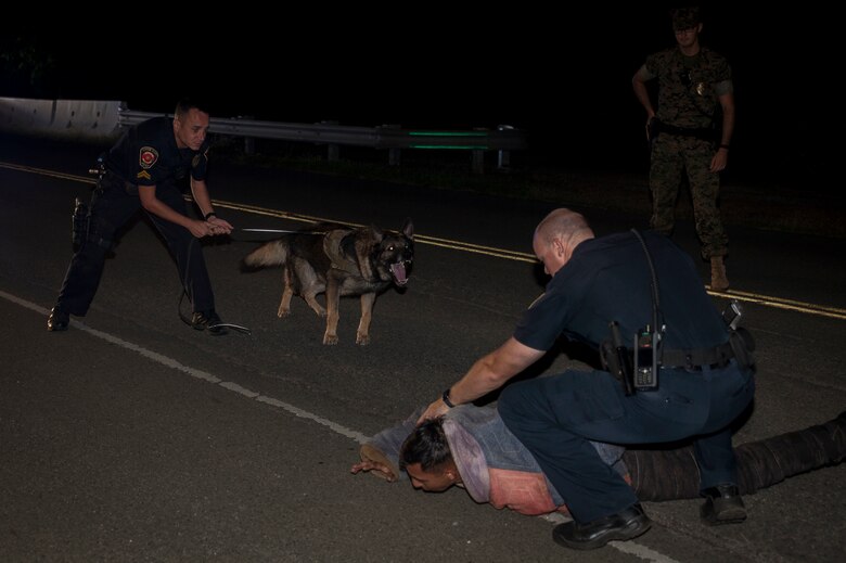 Officer Kristopher Evers, a military working dog handler with the Provost Marshall’s Office, observes a detainee being arrested with his dog during a night exercise, Marine Corps Base Hawaii (MCBH), Jan. 24, 2017. The K-9 unit continuously works to improve mission readiness with realistic training exercises that encompass tracking, escorting, searches and detaining. Military police officers and their working dogs help preserve the peace while also projecting their presence as a deterrent from crime aboard MCBH. (U.S. Marine Corps photo by Cpl. Jesus Sepulveda Torres)