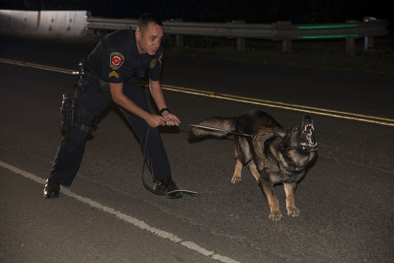 Officer Kristopher Evers, a military working dog handler with the Provost Marshall’s Office, holds back his dog, Diego, for a simulated arrest during a night exercise, Marine Corps Base Hawaii (MCBH), Jan. 24, 2017. The K-9 unit continuously works to improve mission readiness with realistic training exercises that encompass tracking, escorting, searches and detaining. Military police officers and their working dogs help preserve the peace while also projecting their presence as a deterrent from crime aboard MCBH. (U.S. Marine Corps photo by Cpl. Jesus Sepulveda Torres)